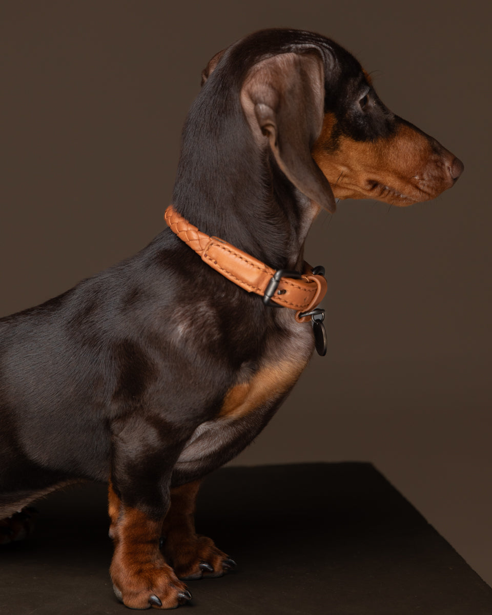 Ferdinando - Dark Hardware Braided Leather Collars