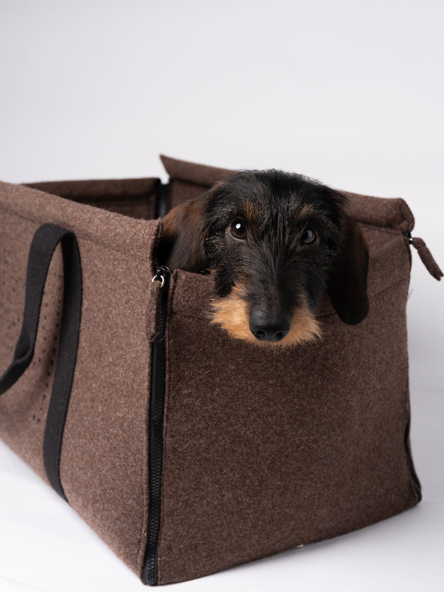 Gianni - Nomad Carrier