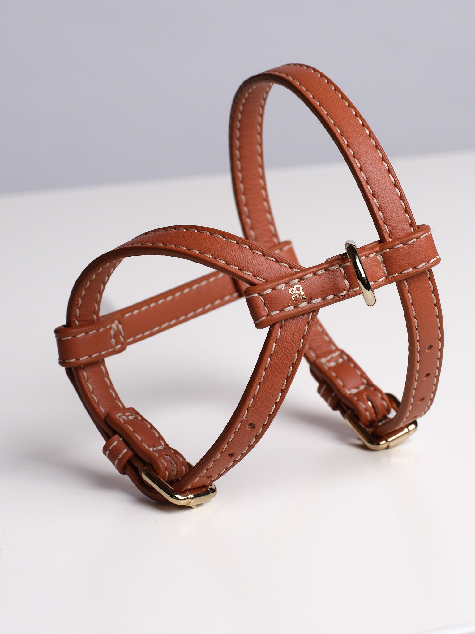 Gabriele - Leather Harness