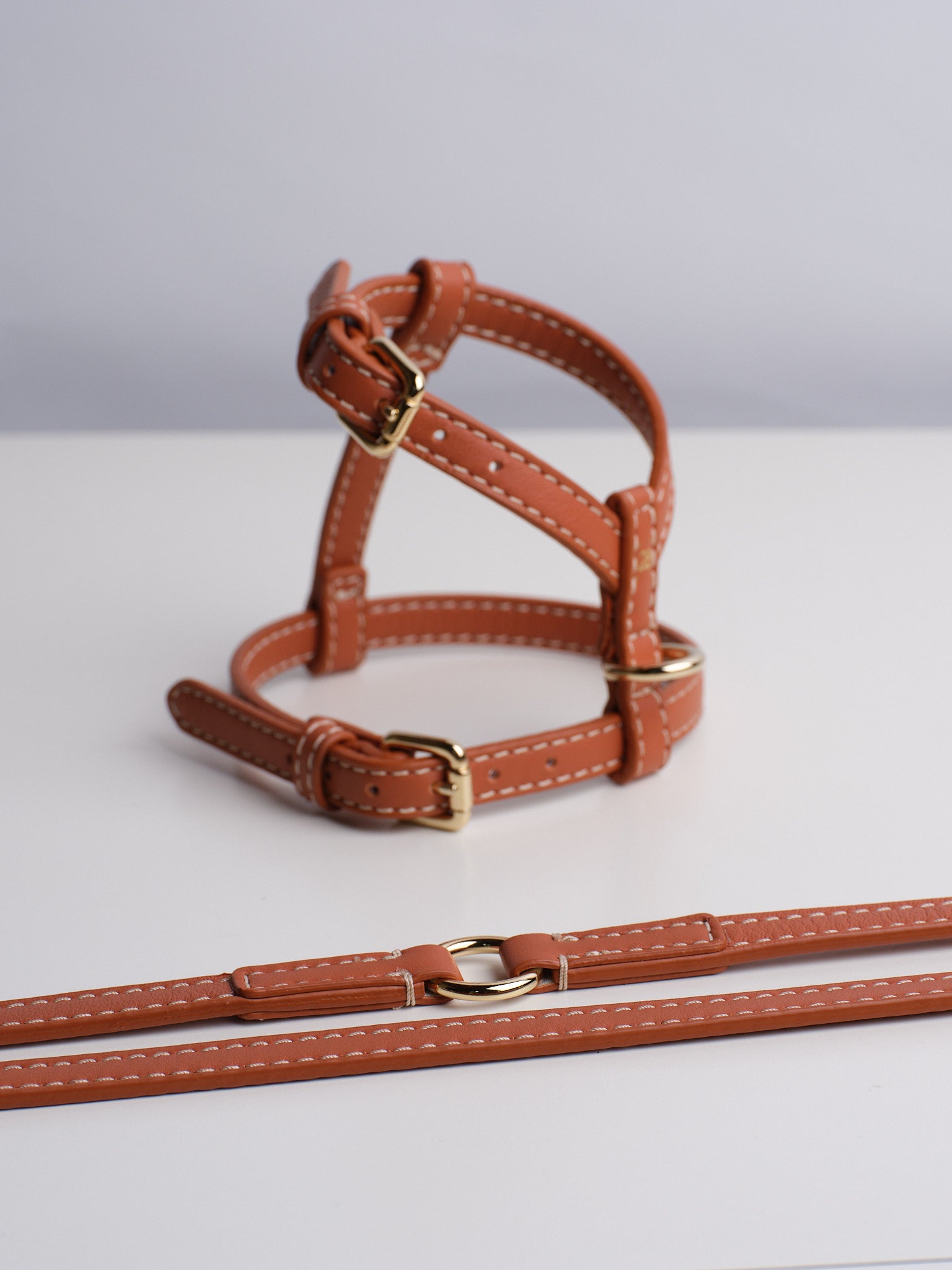 Gabriele - Adjustable Leather Leash