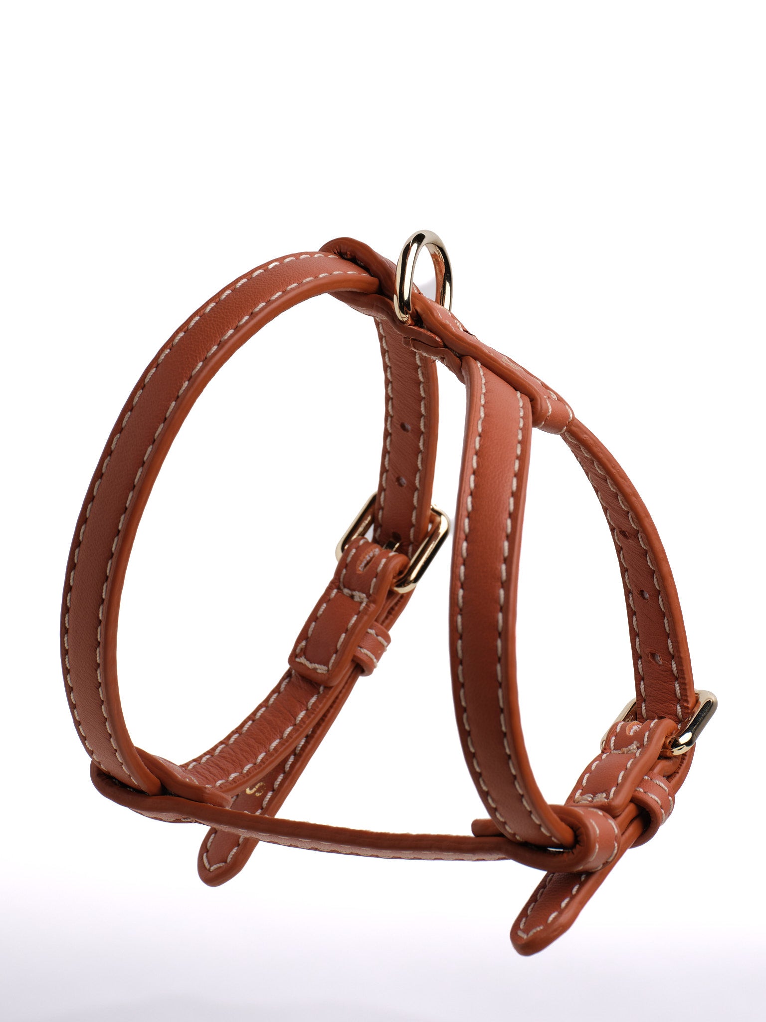 Gabriele - Leather Harness