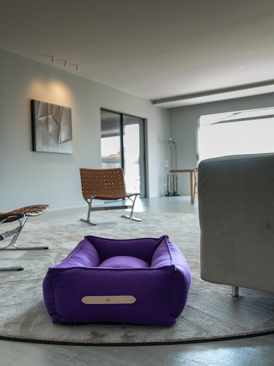 Edward - Colorful Pure Wool Dog Bed