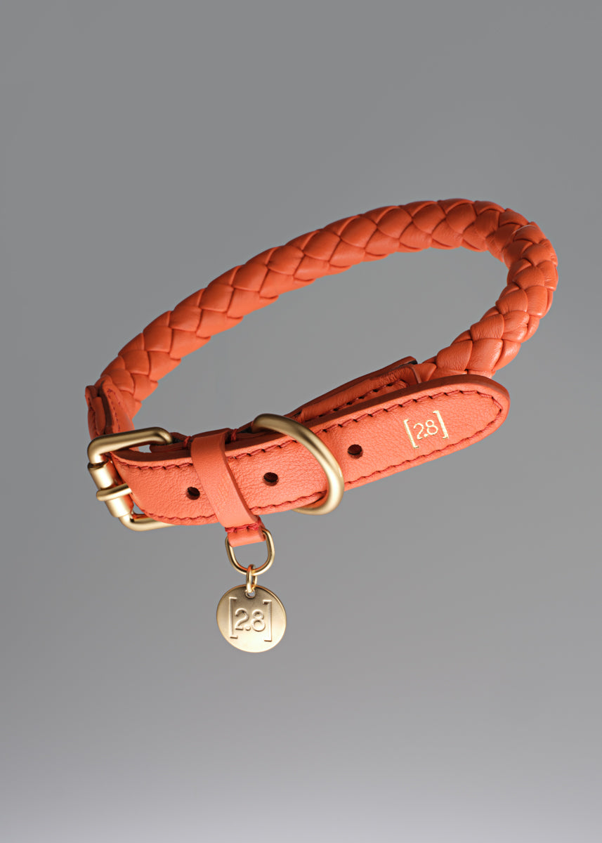 Ferdinando - Braided Leather Collar