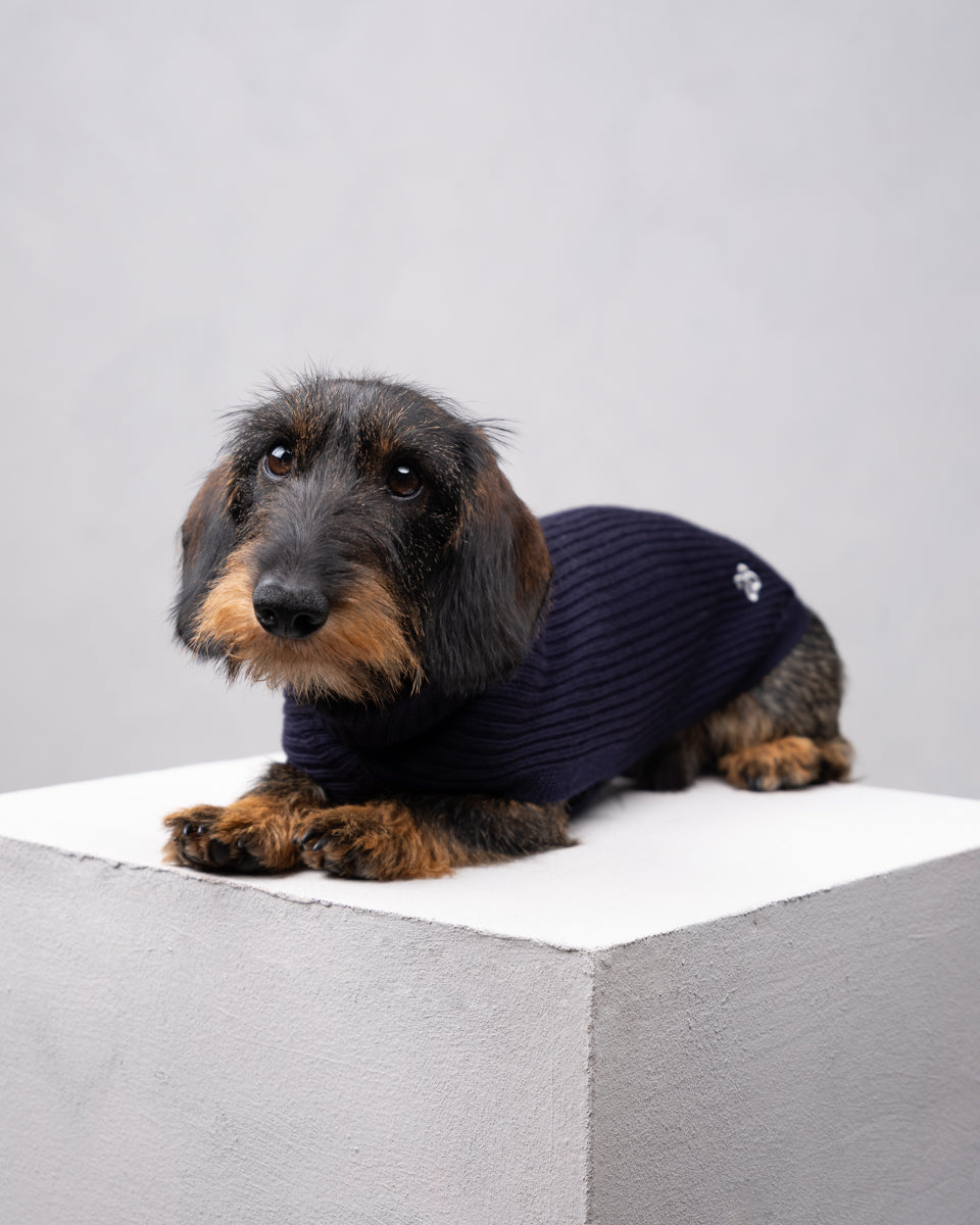 Paul – Merino Wool Dog Sweater