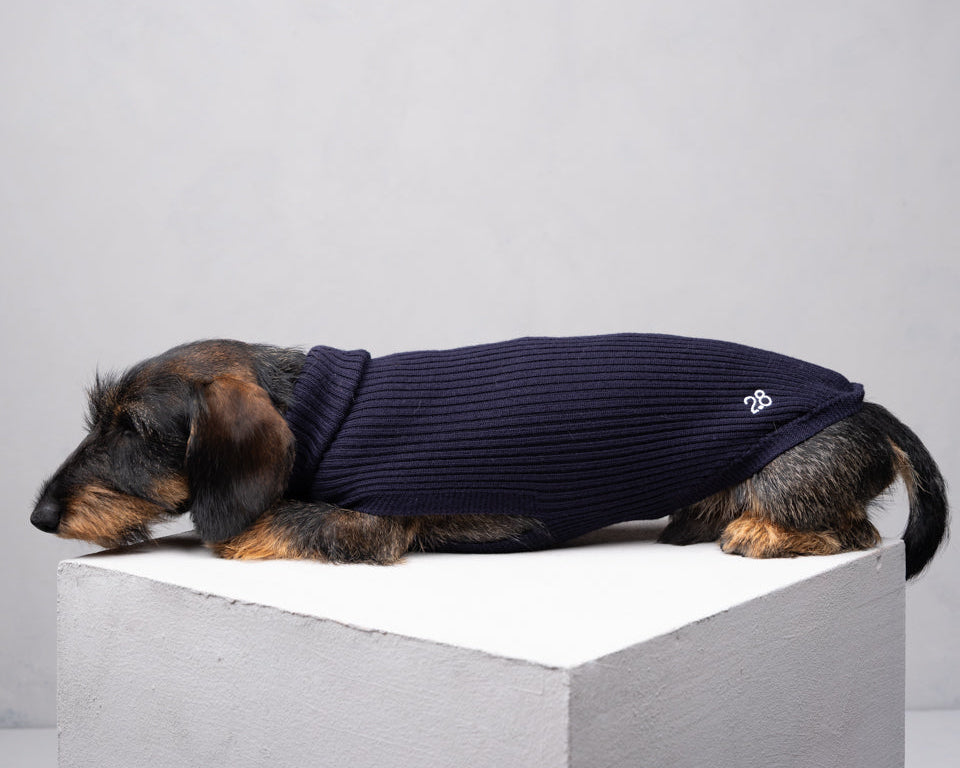 Paul – Merino Wool Dog Sweater