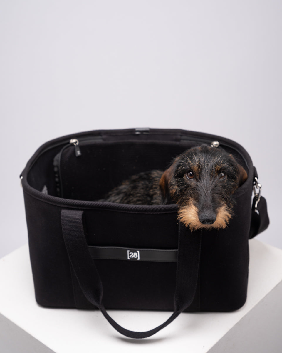 Robert – Hundetasche fürs Flugzeug aus Baumwolle