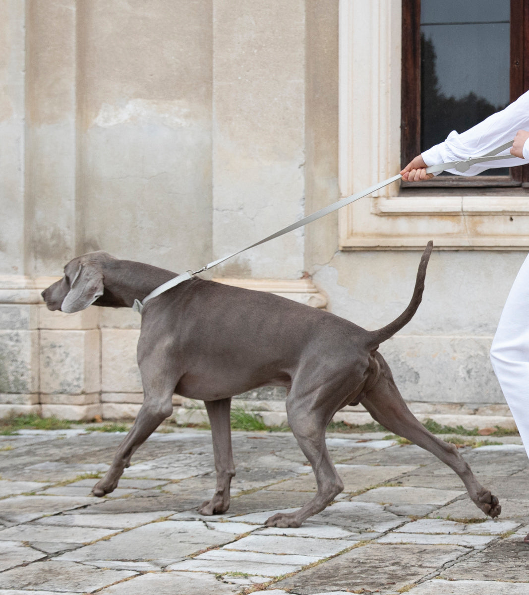 Renè - Guinzaglio in pelle stampata