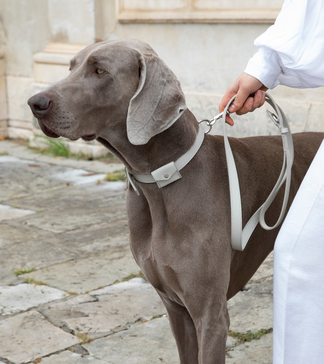 Renè - Guinzaglio in pelle stampata