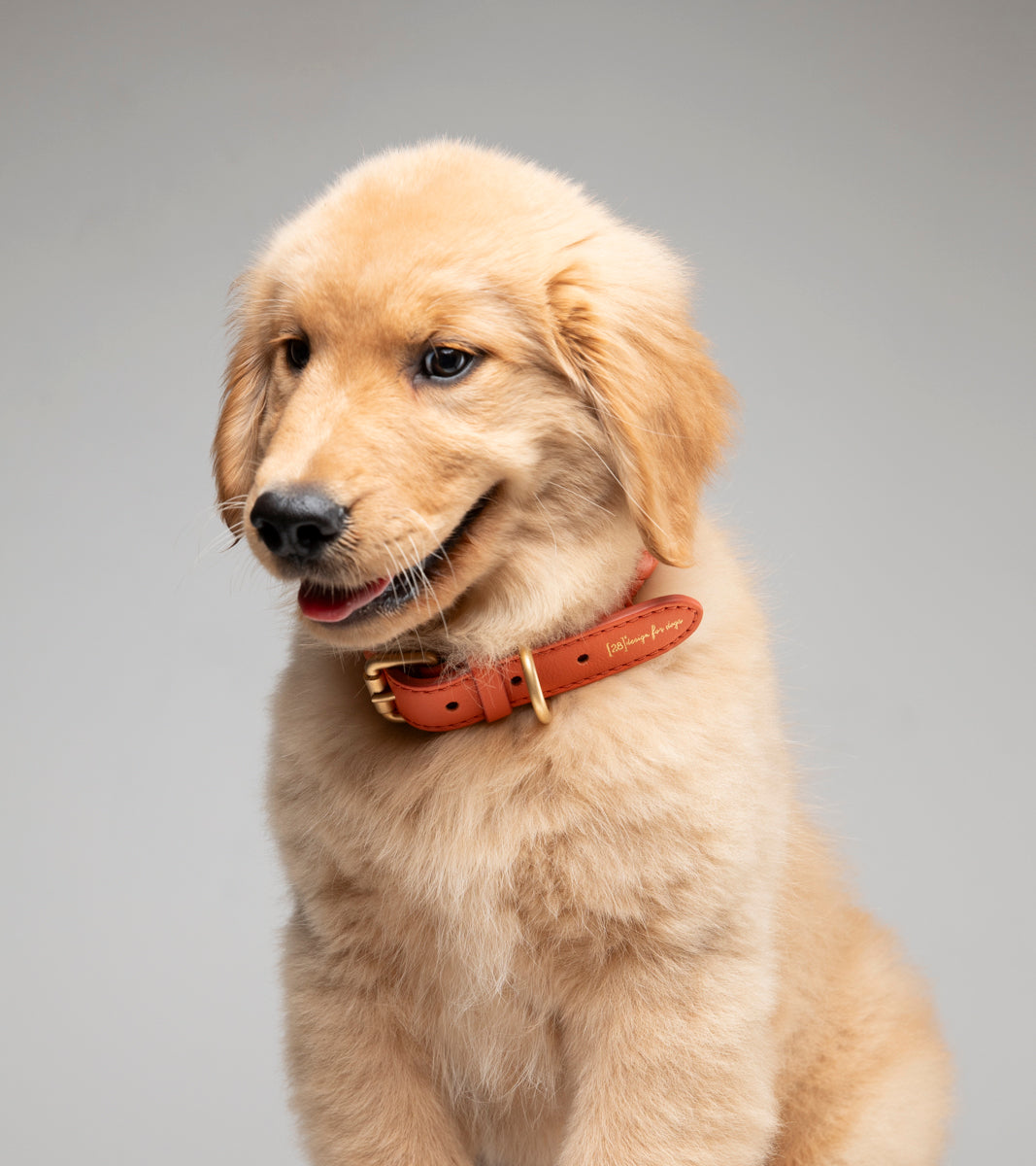 Ferdinando - Braided Leather Collar