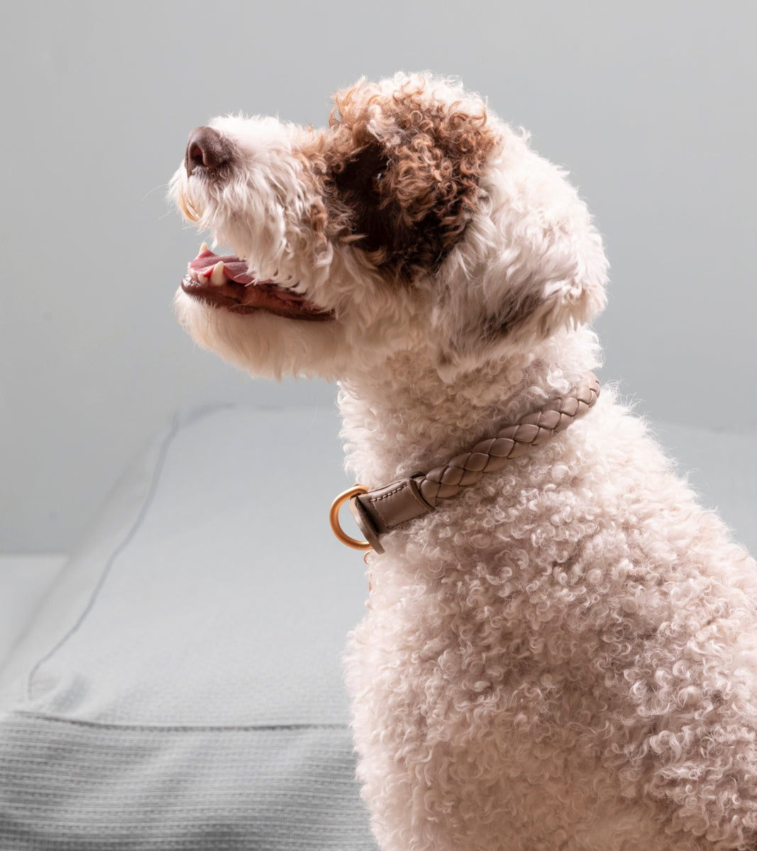 Ferdinando - Collare in pelle intrecciata