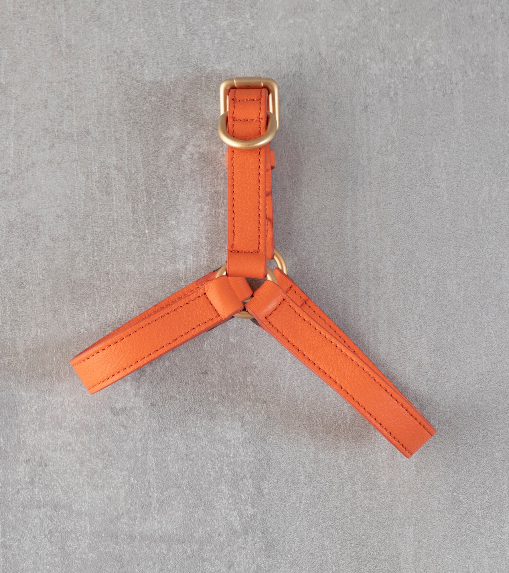 Mario – Step-In Leather Dog Harness