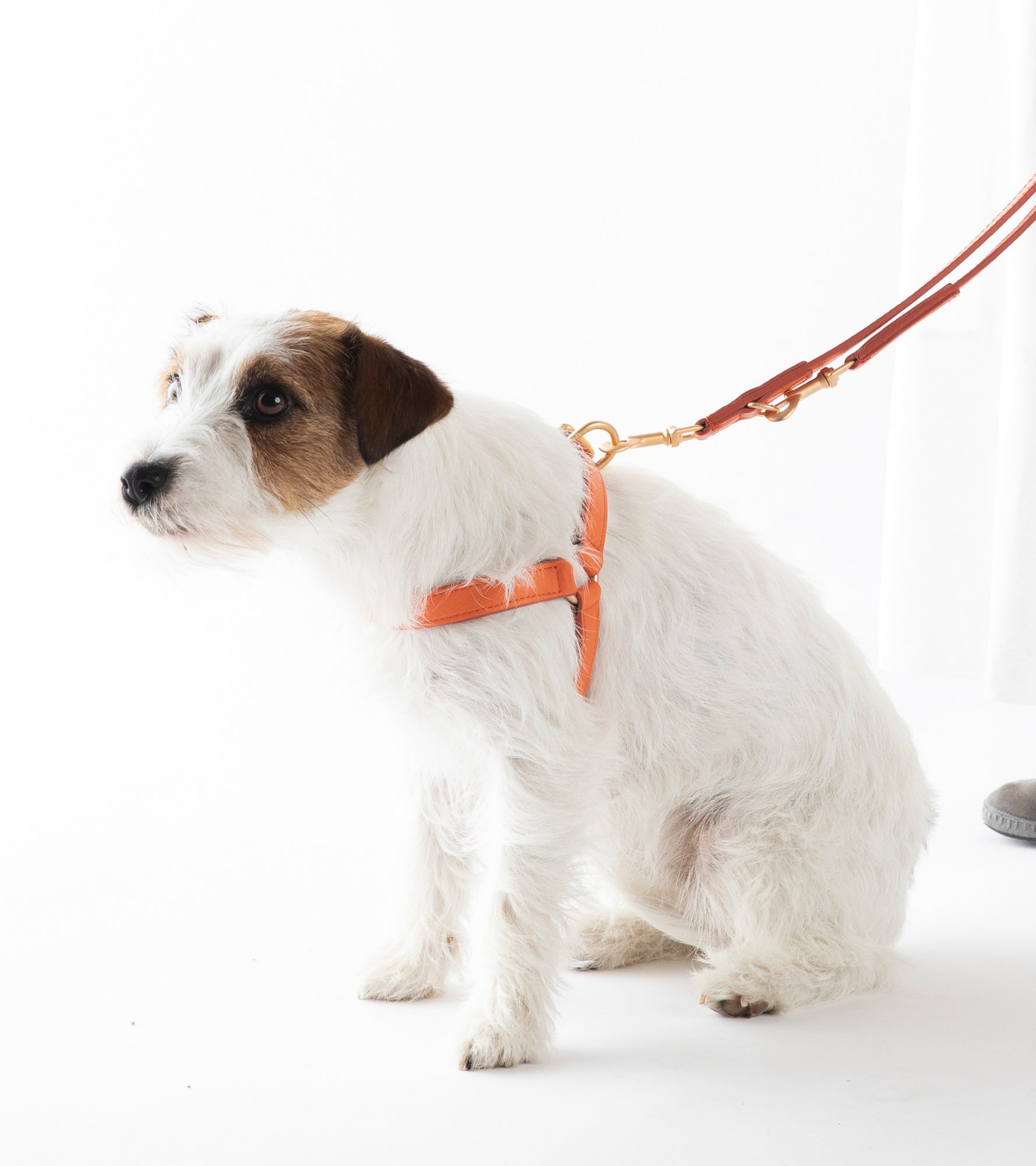 Mario – Step-In Leather Dog Harness