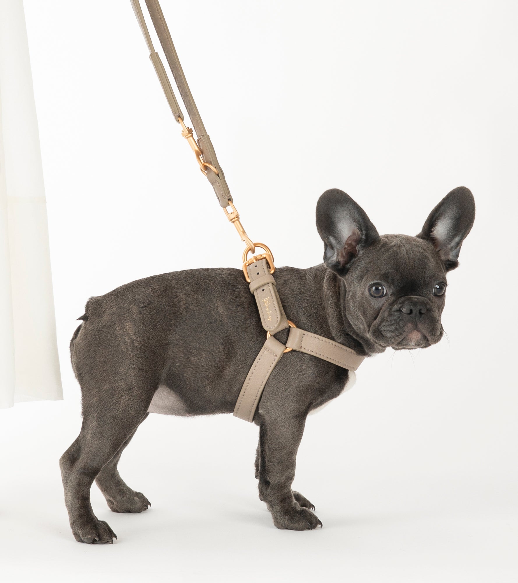 Mario – Step-In Leather Dog Harness