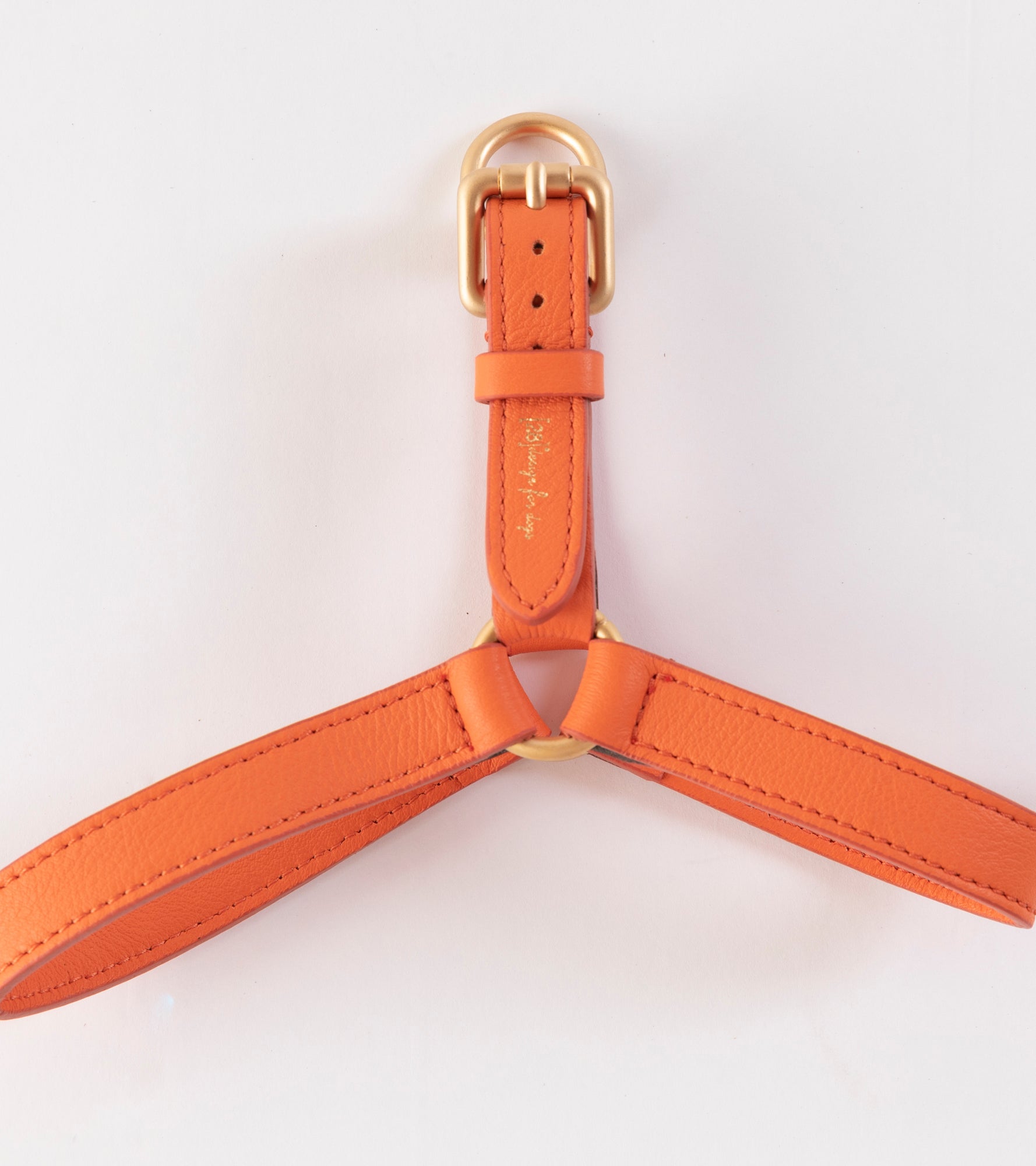 Mario – Step-In Leather Dog Harness