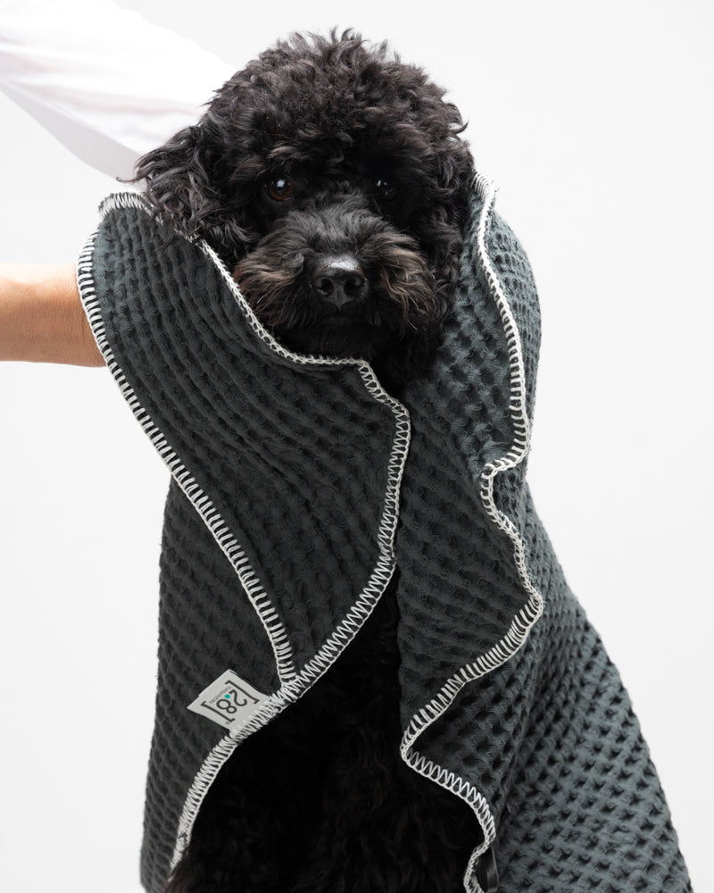 Sally Dotto di Paola NAVONE – Asciugamani per cani