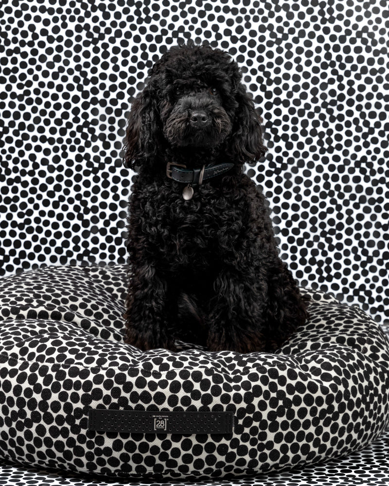 FULVIO DOTTO by Paola NAVONE - Round Cushion
