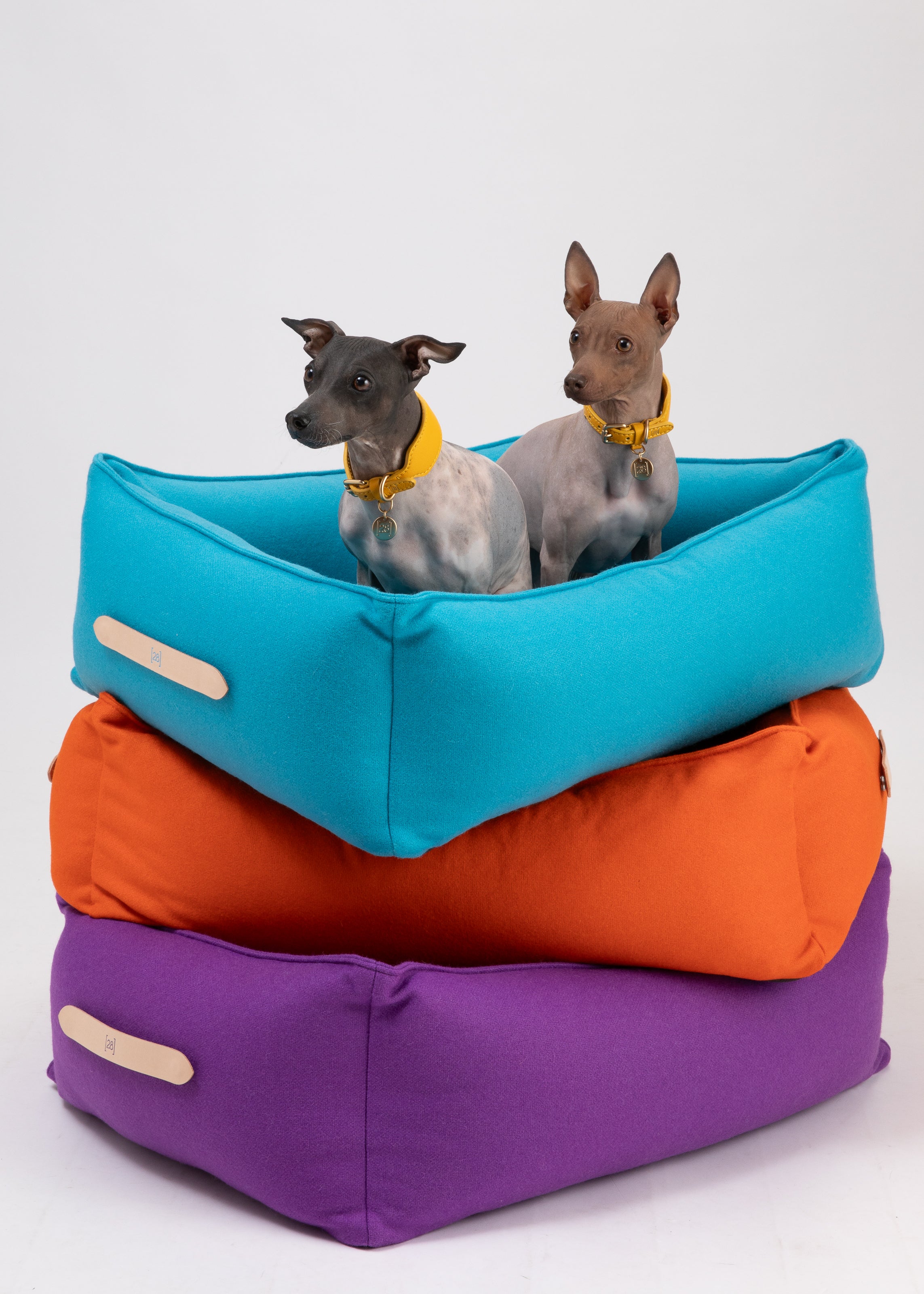 Edward - Colorful Pure Wool Dog Bed
