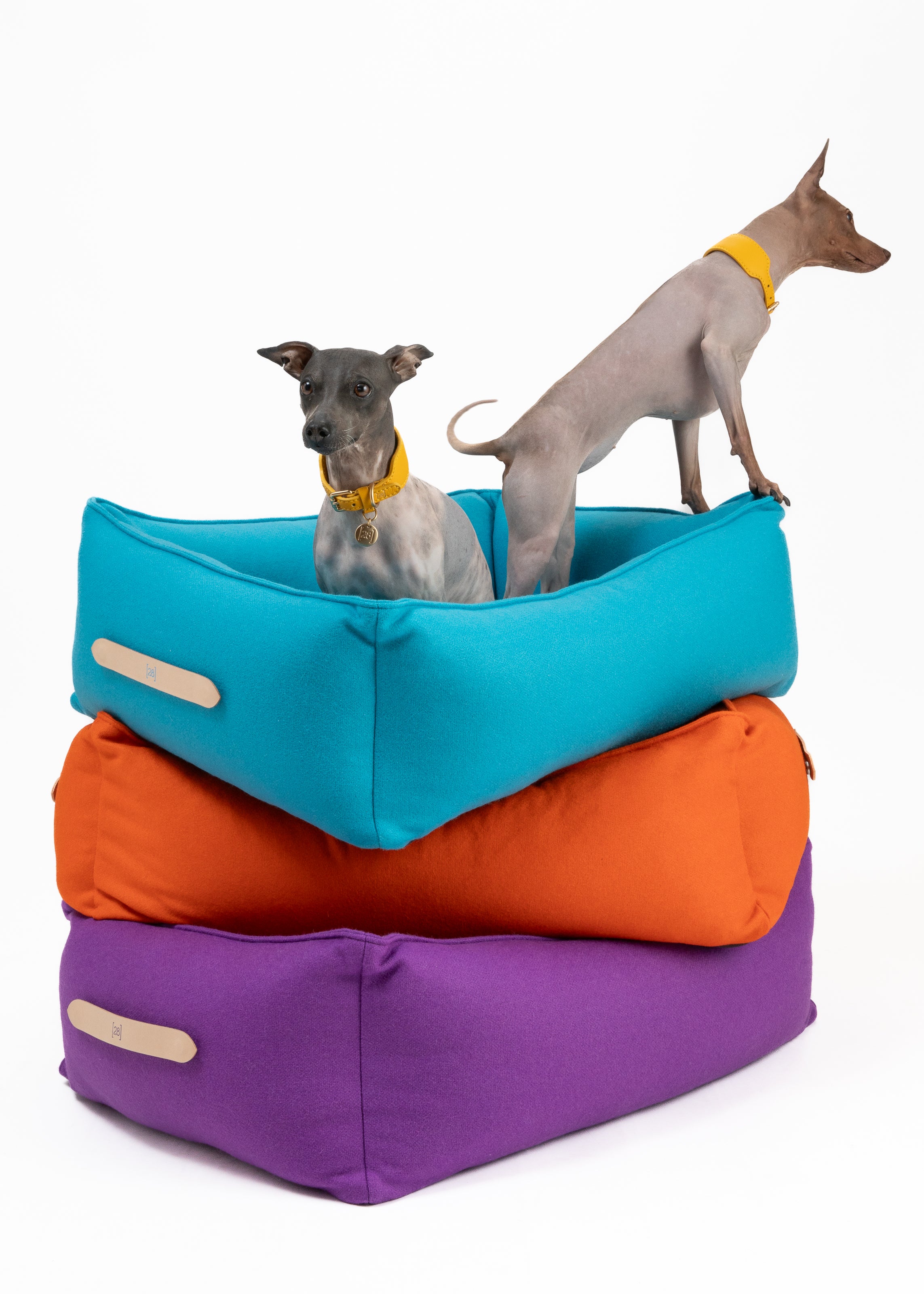 Edward - Colorful Pure Wool Dog Bed