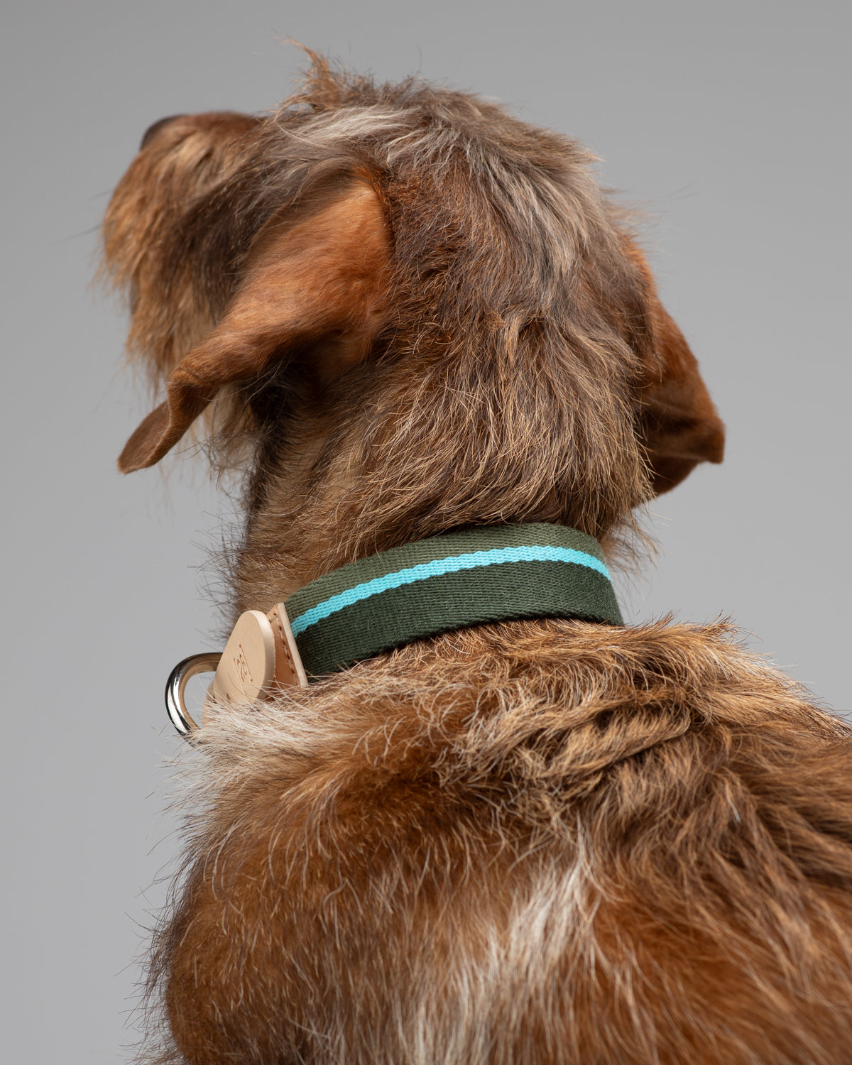 Franco – Collar in Ribbon and Leather