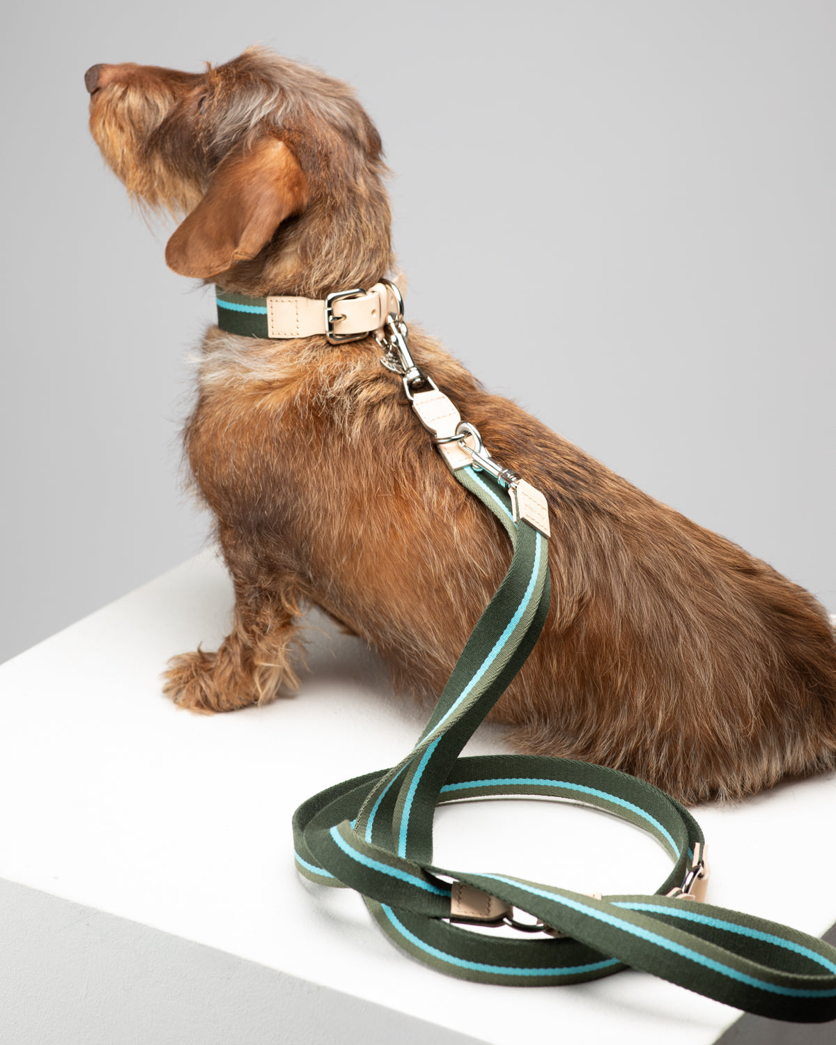 Franco – Collar in Ribbon and Leather