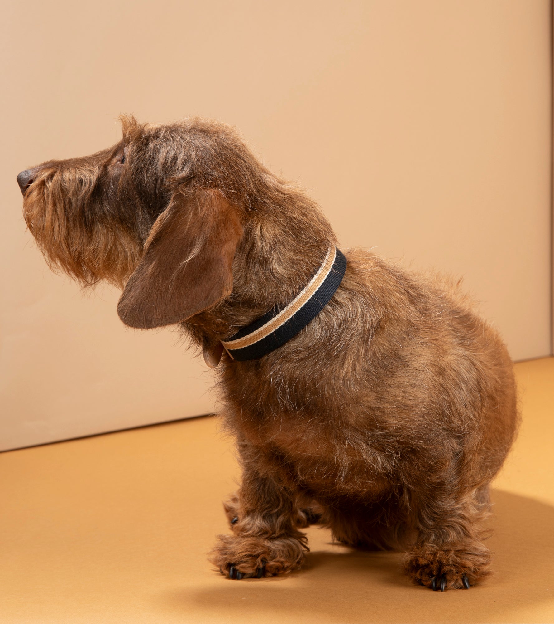 Franco – Collar in Ribbon and Leather