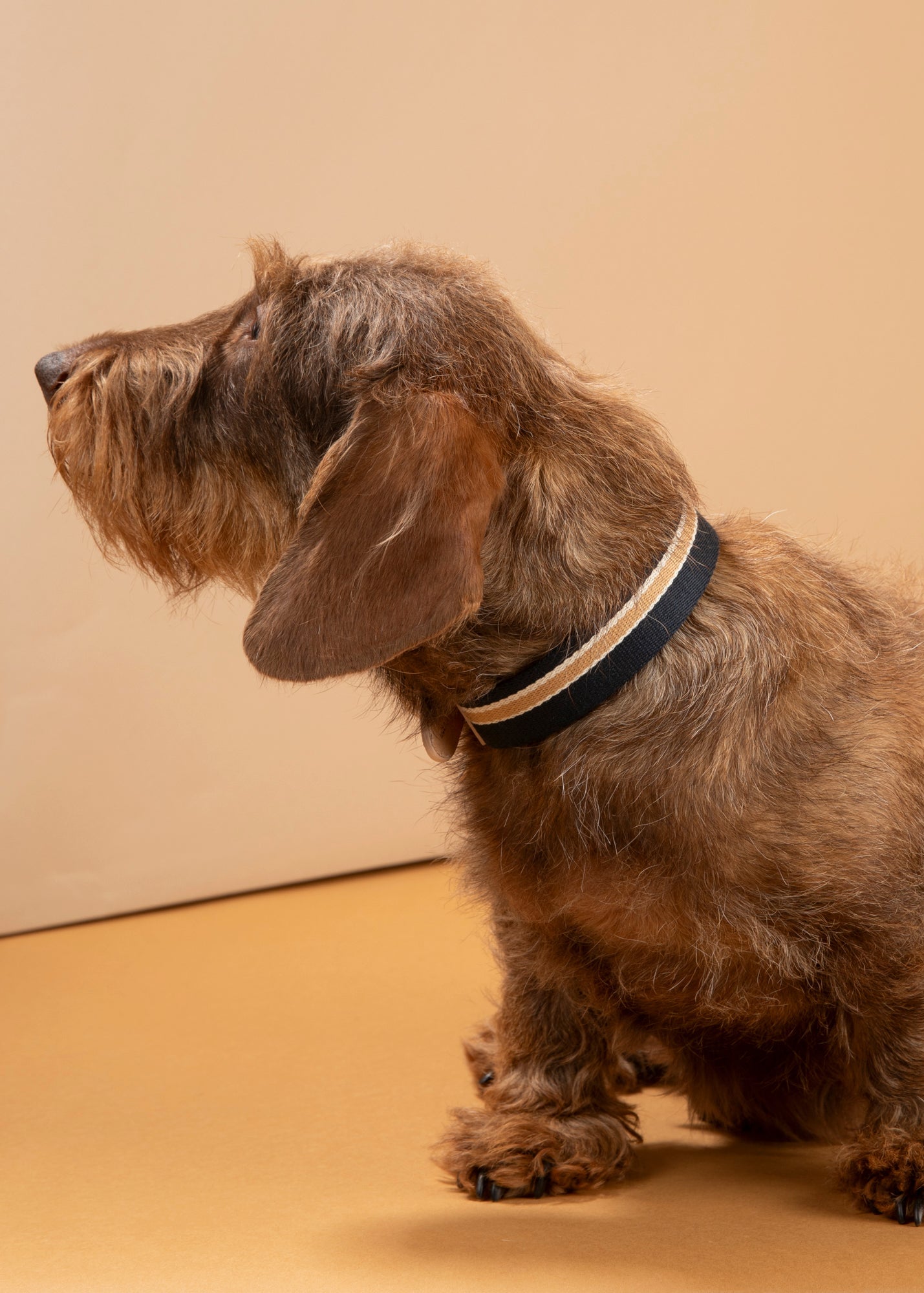 Franco – Collier en sangle et cuir