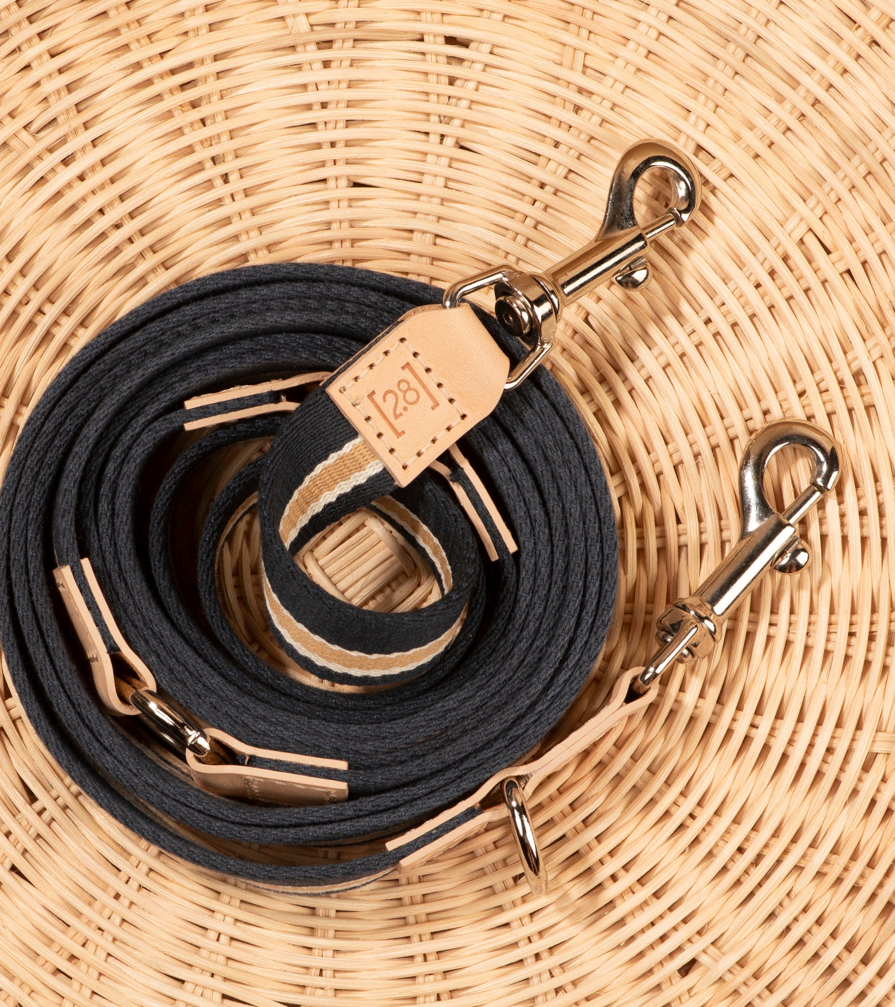 Franco – Guinzaglio in Nastro e Pelle