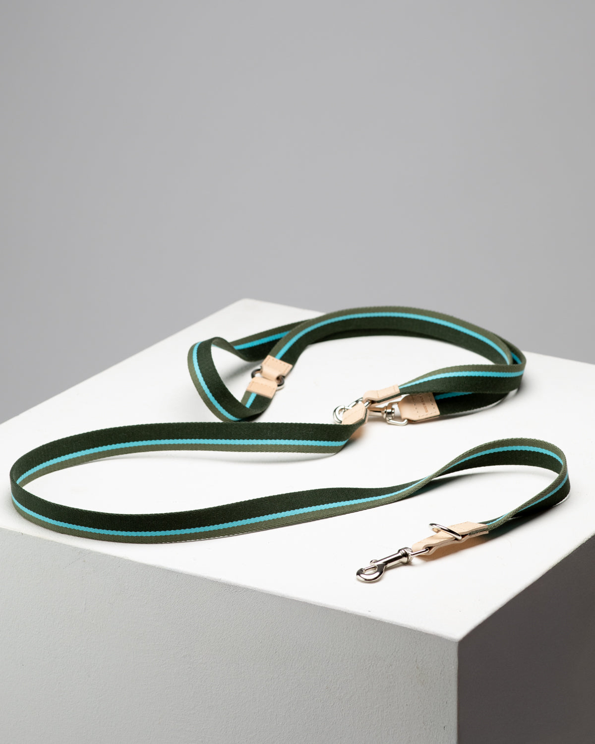 Franco – Leine aus Band und Leder