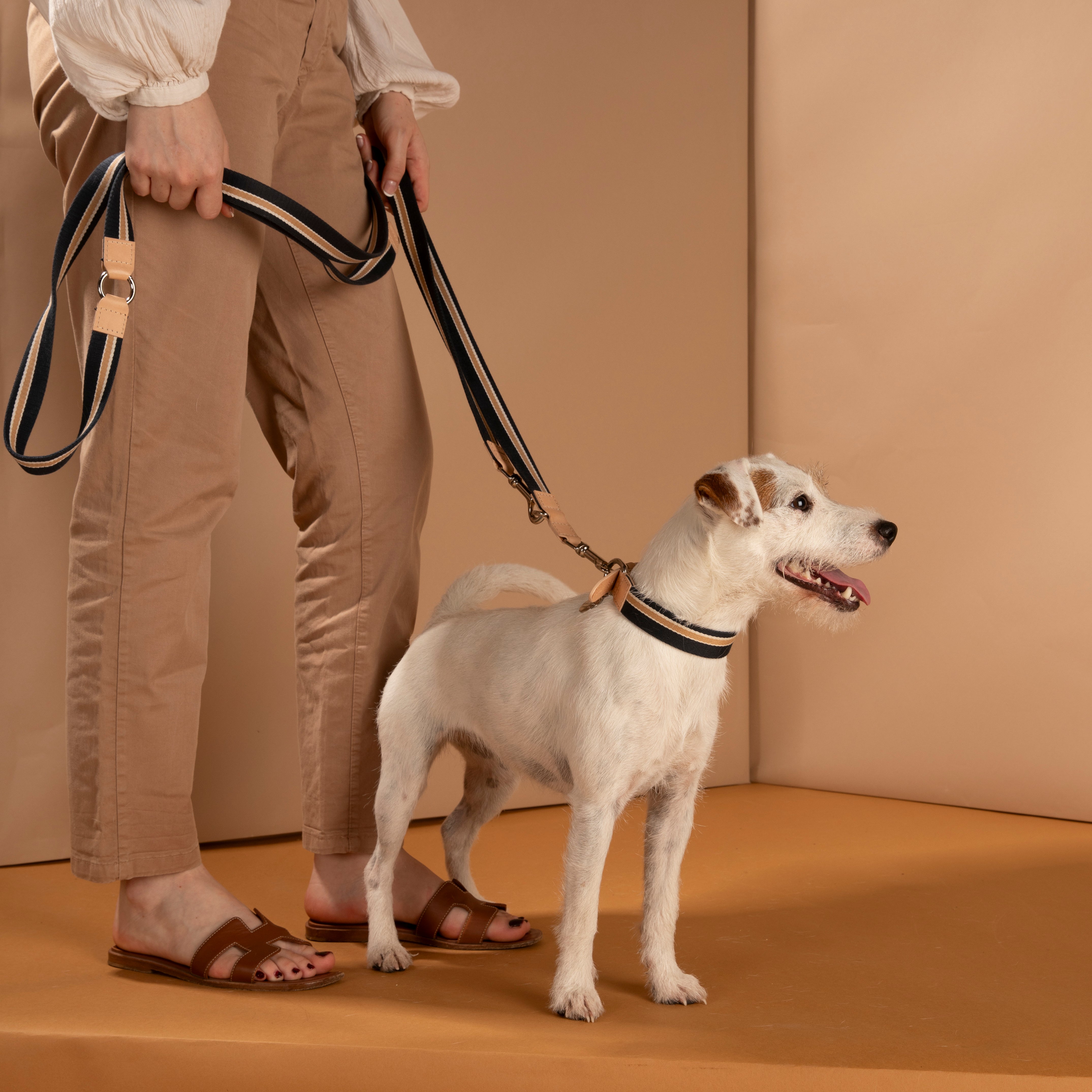 Franco – Guinzaglio in Nastro e Pelle