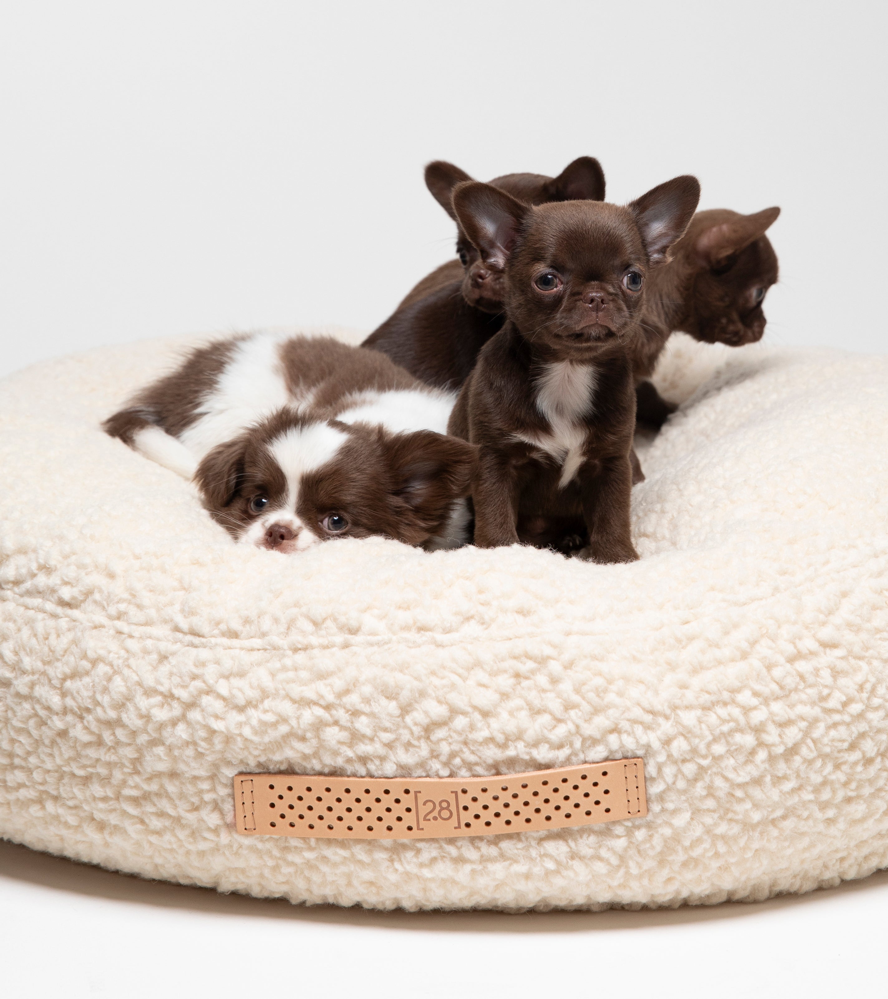 Fulvio – Cuscino per cani in lana Bouclé