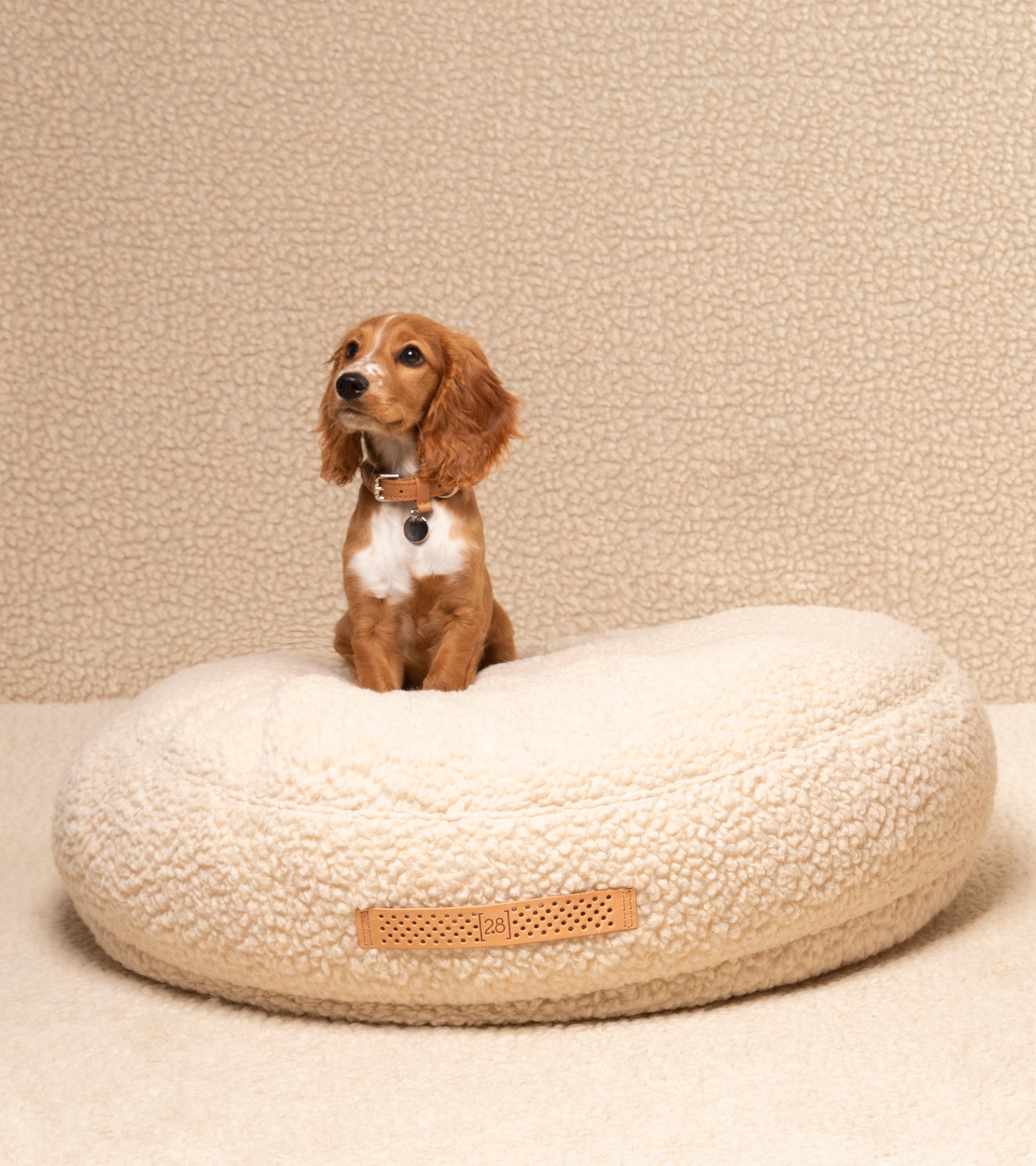 Fulvio – Cuscino per cani in lana Bouclé