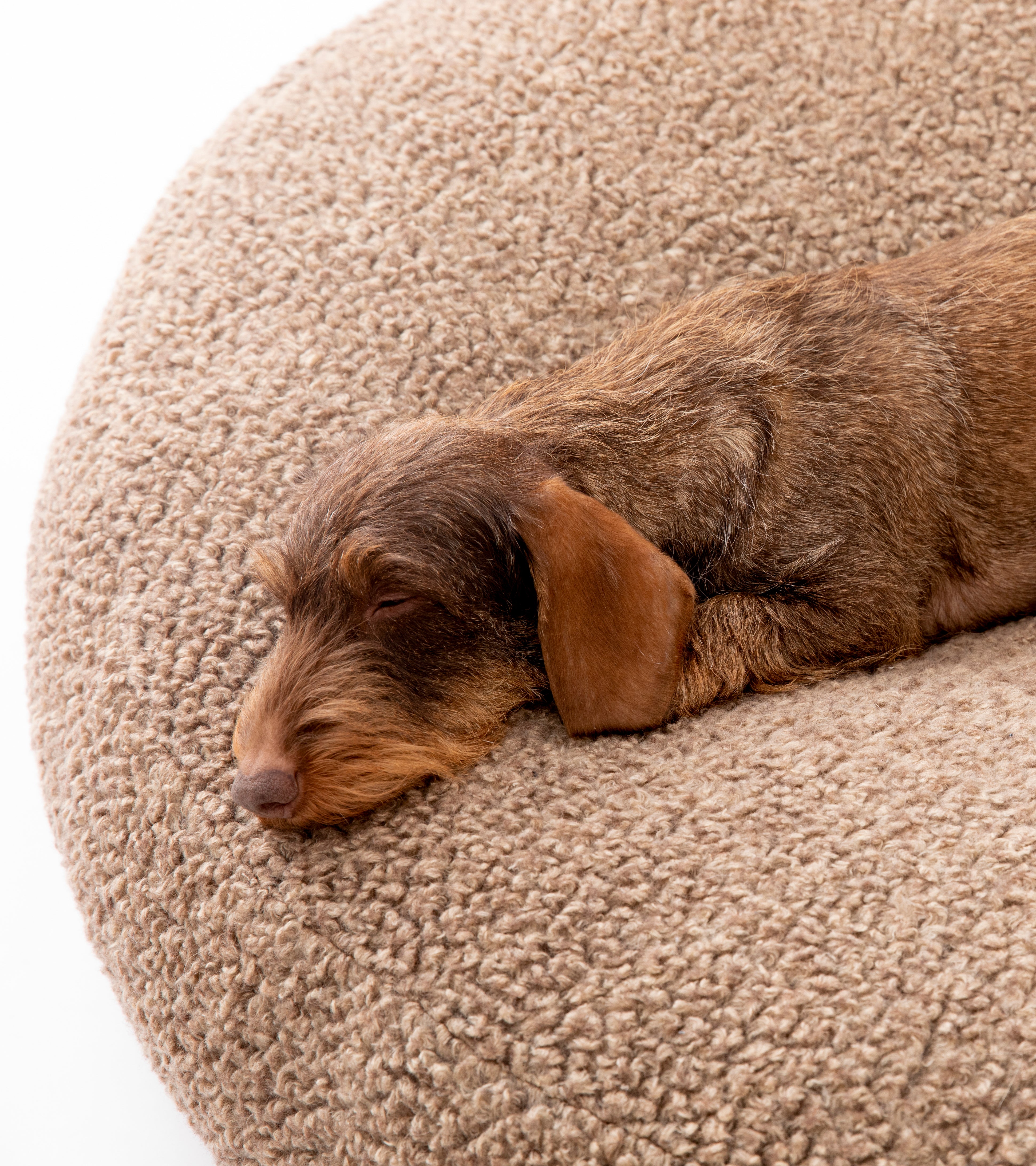 Fulvio – Cuscino per cani in lana Bouclé