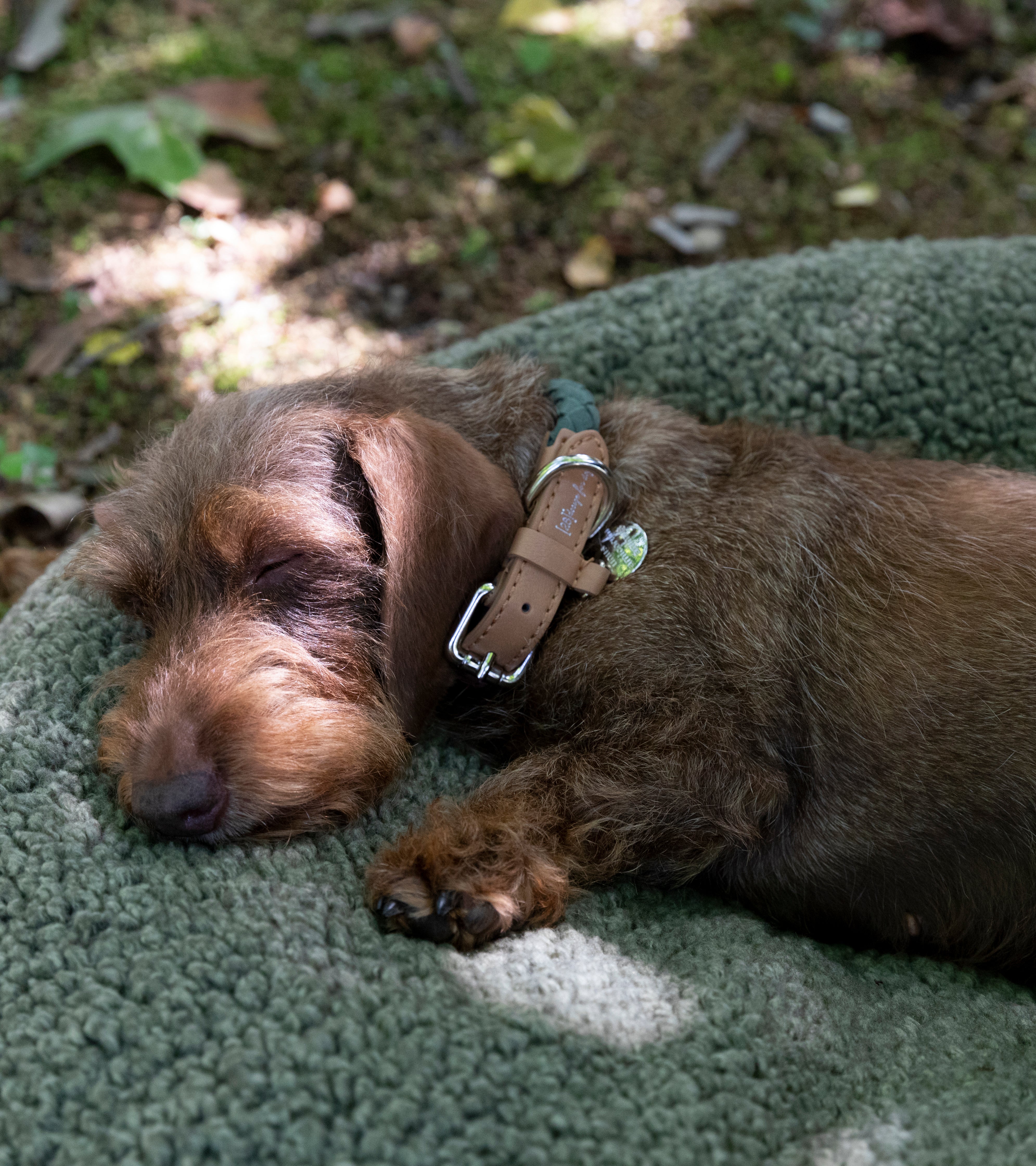 Fulvio – Cuscino per cani in lana Bouclé