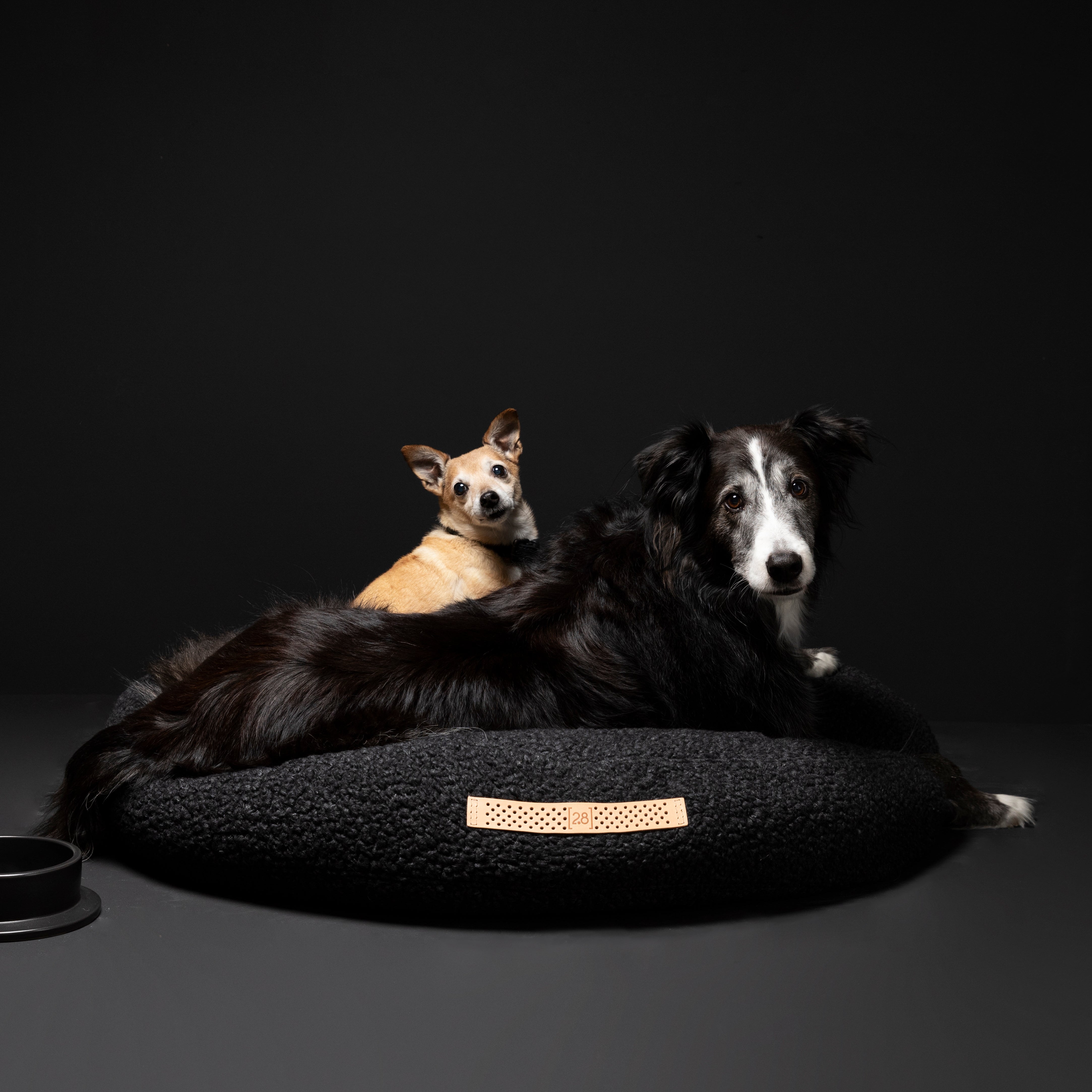 Fulvio – Cuscino per cani in lana Bouclé