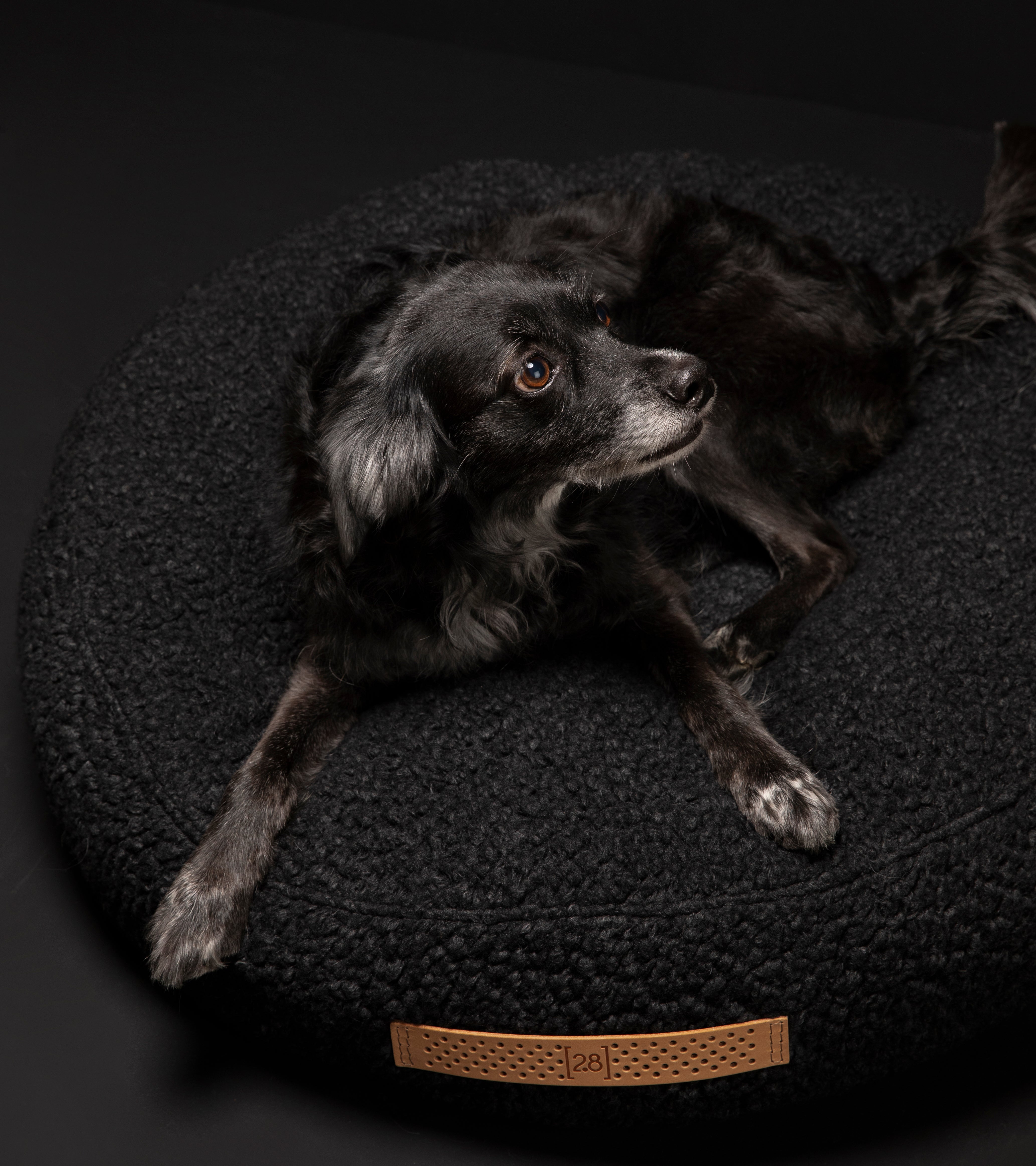 Fulvio – Cuscino per cani in lana Bouclé