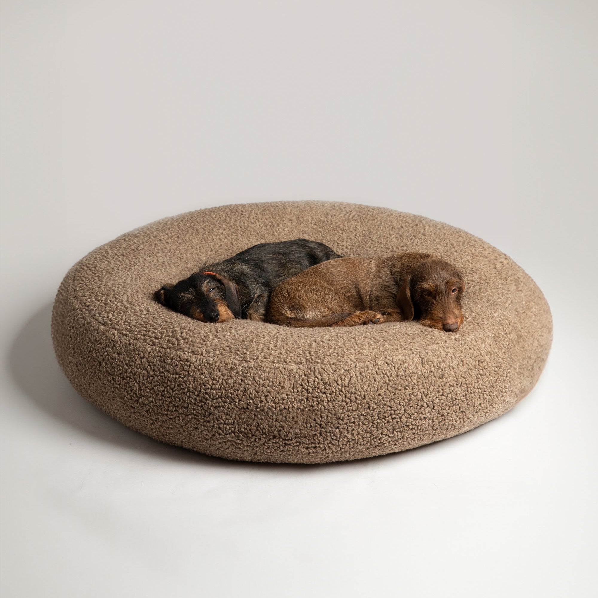 Fulvio – Cuscino per cani in lana Bouclé