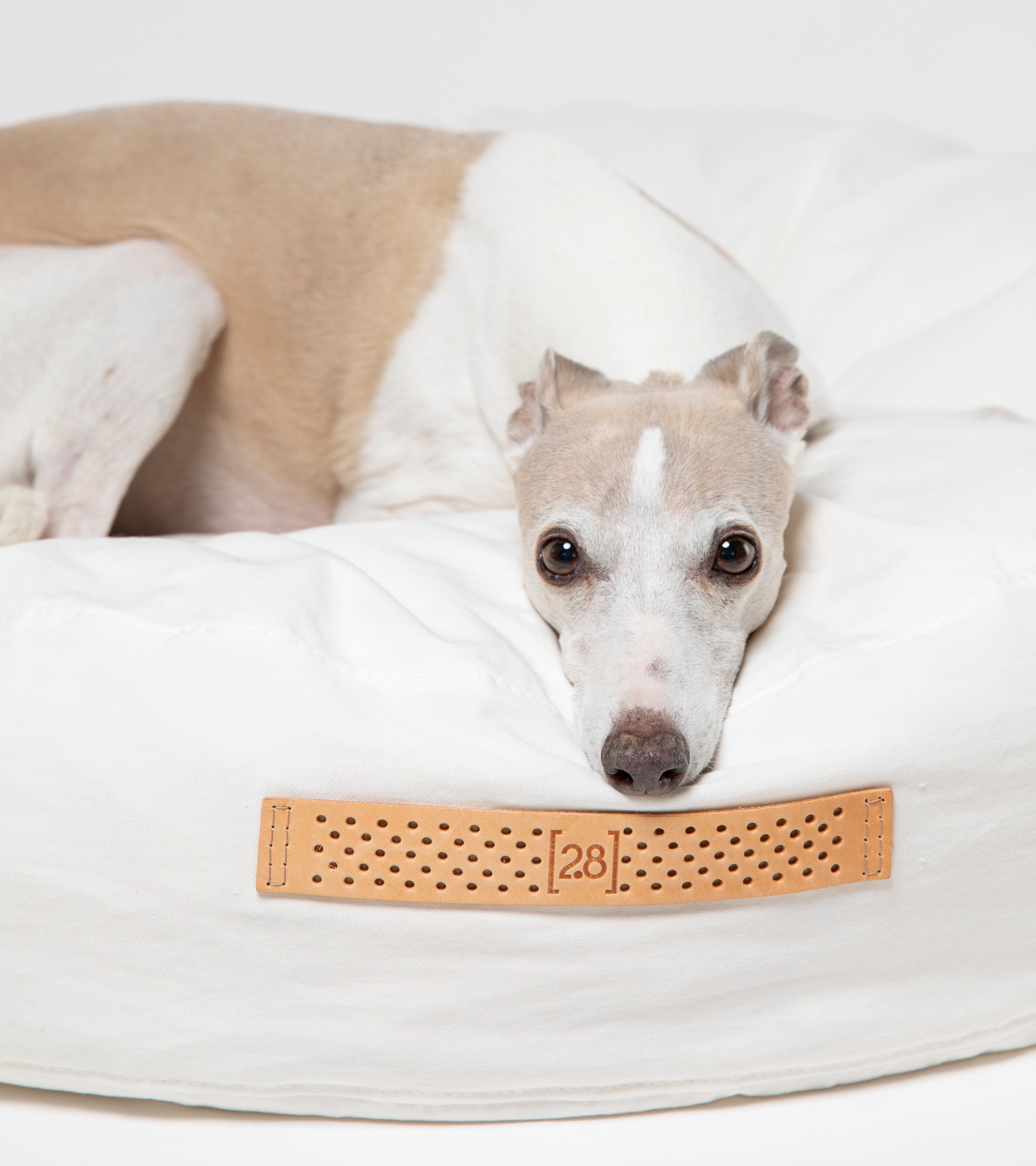 Fulvio - Cuscino per cani in cotone drill