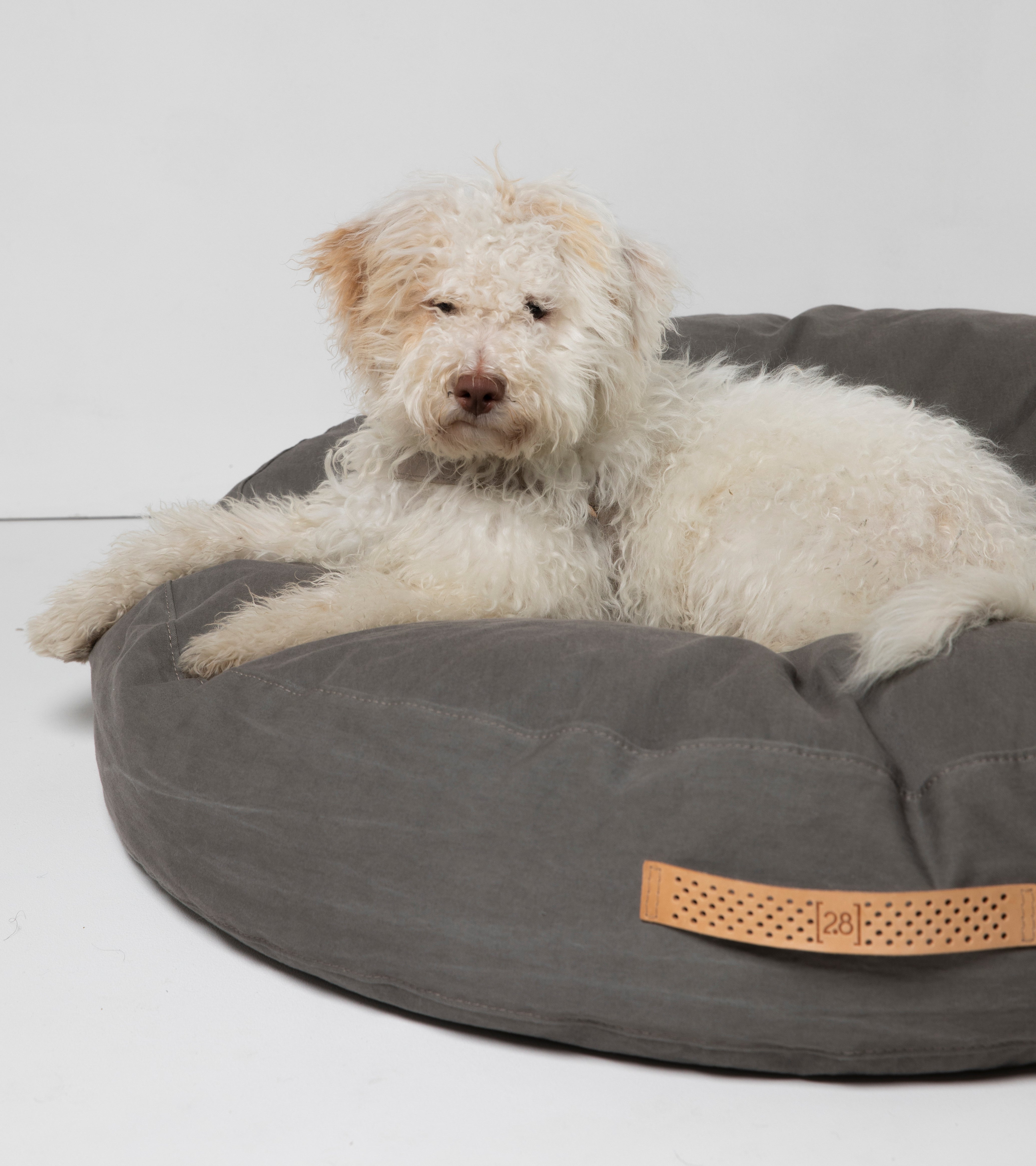 Fulvio - Cuscino per cani in cotone drill