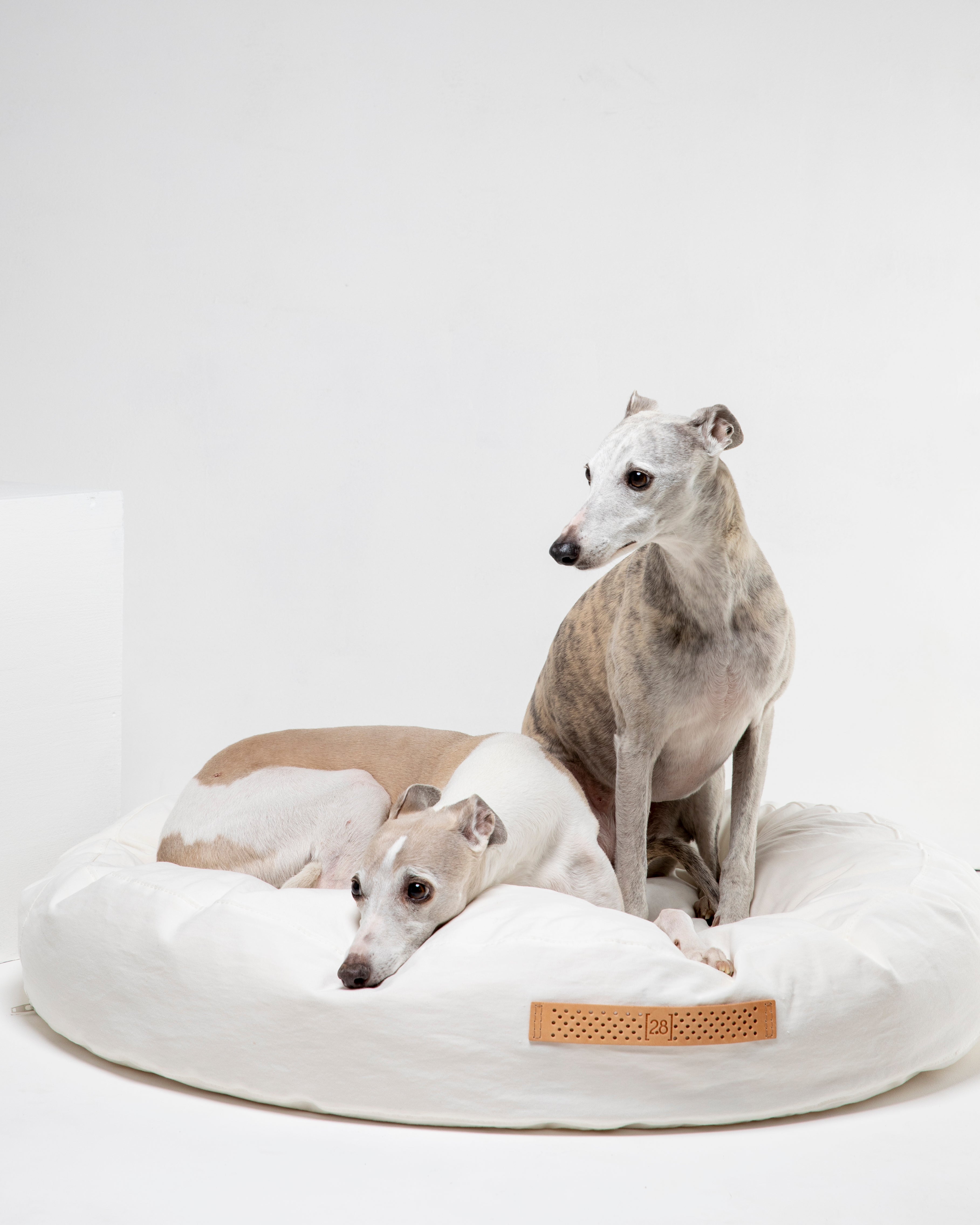 Fulvio - Cuscino per cani in cotone drill