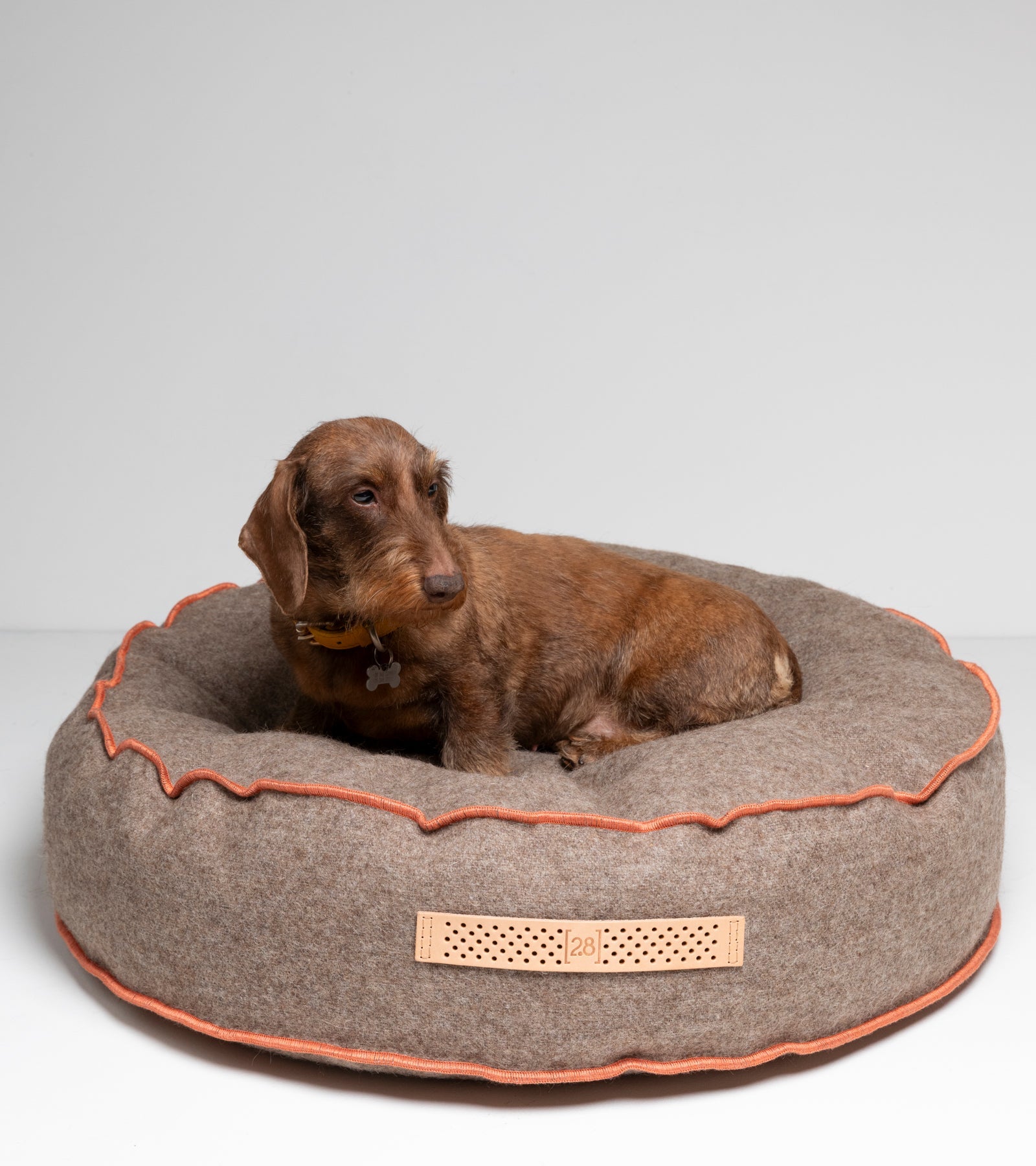 Fulvio - Dog Cushion in Recycled Wool