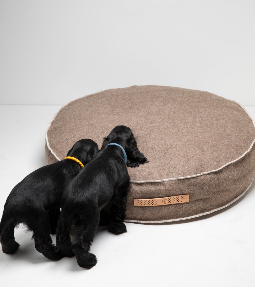 Fulvio - Cuscino per cani in lana riciclata