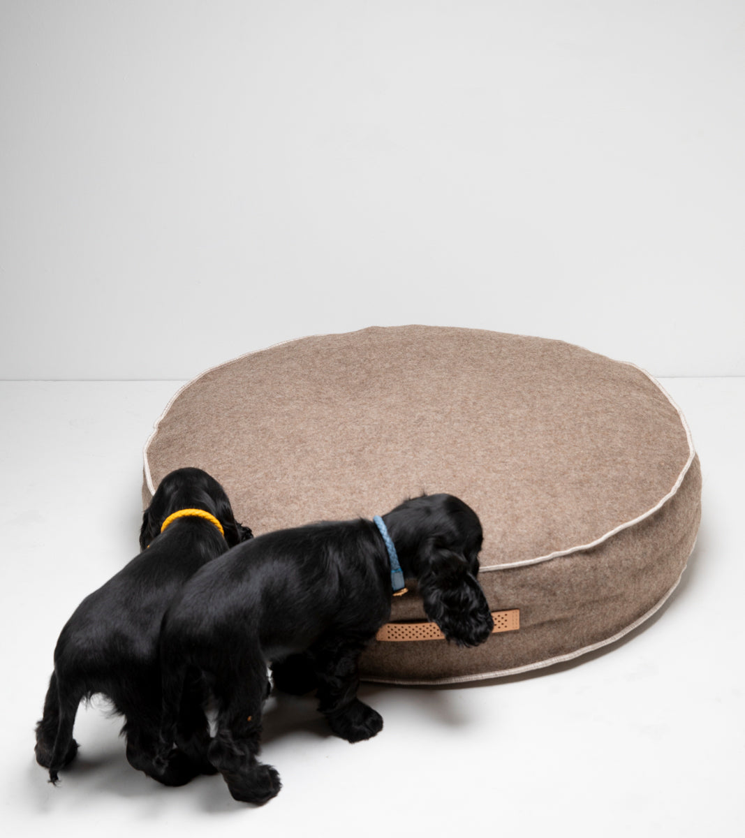 Fulvio - Cuscino per cani in lana riciclata