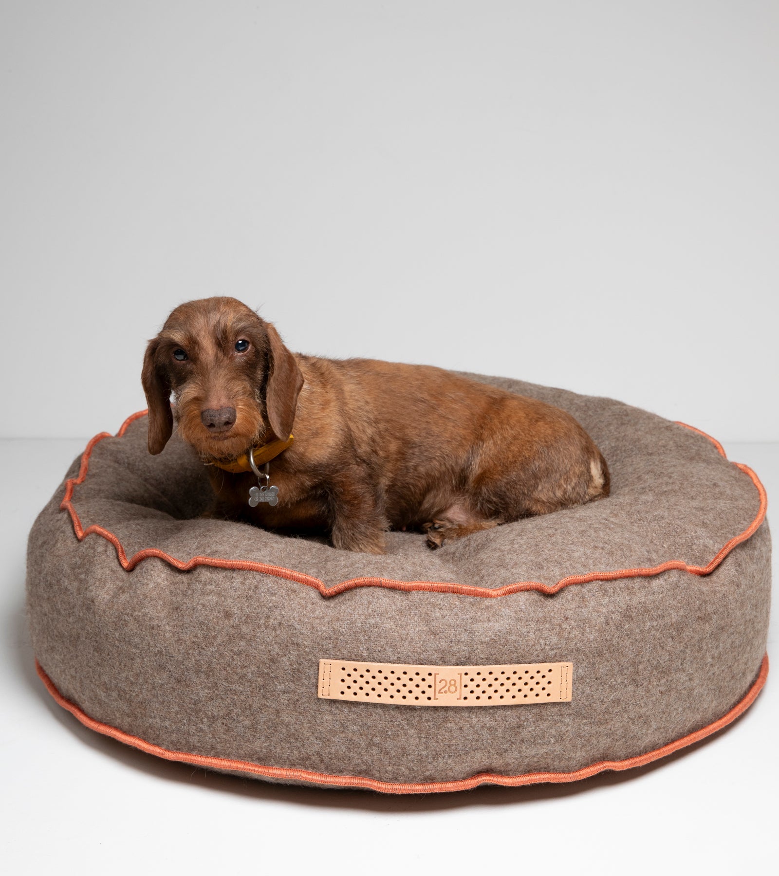 Fulvio - Cuscino per cani in lana riciclata