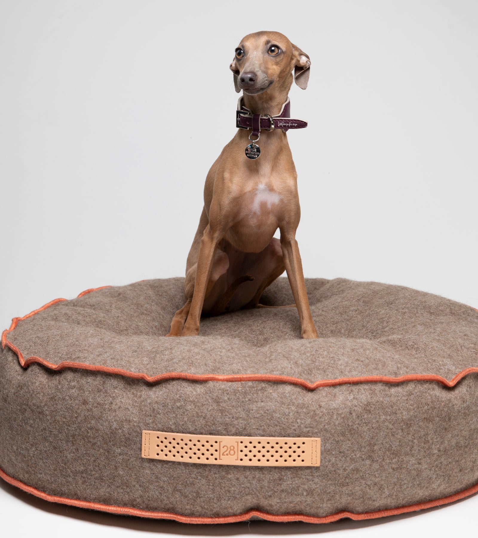 Fulvio - Dog Cushion in Recycled Wool