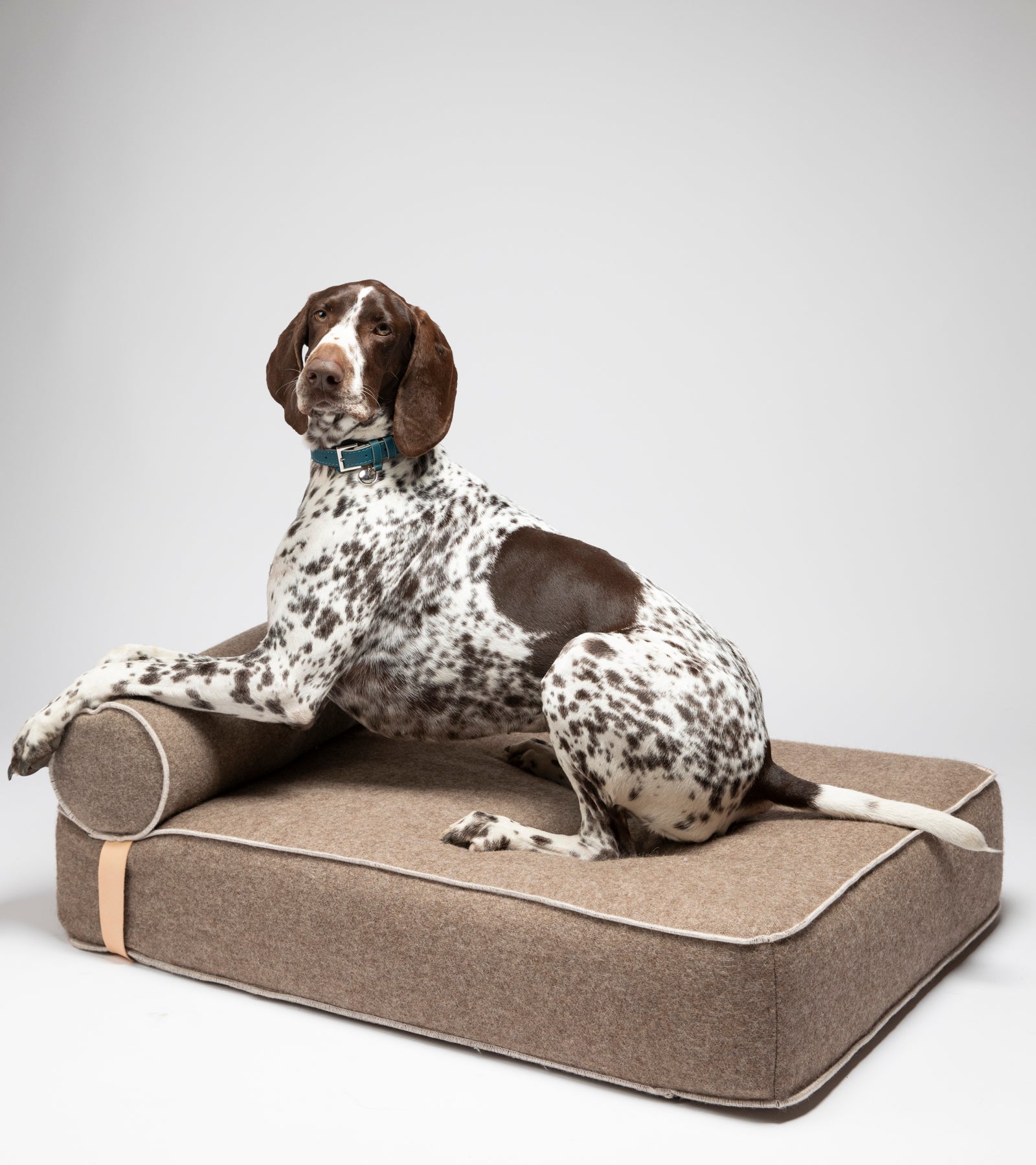 Giampaolo – Lit de jour pour chiens en laine recyclée