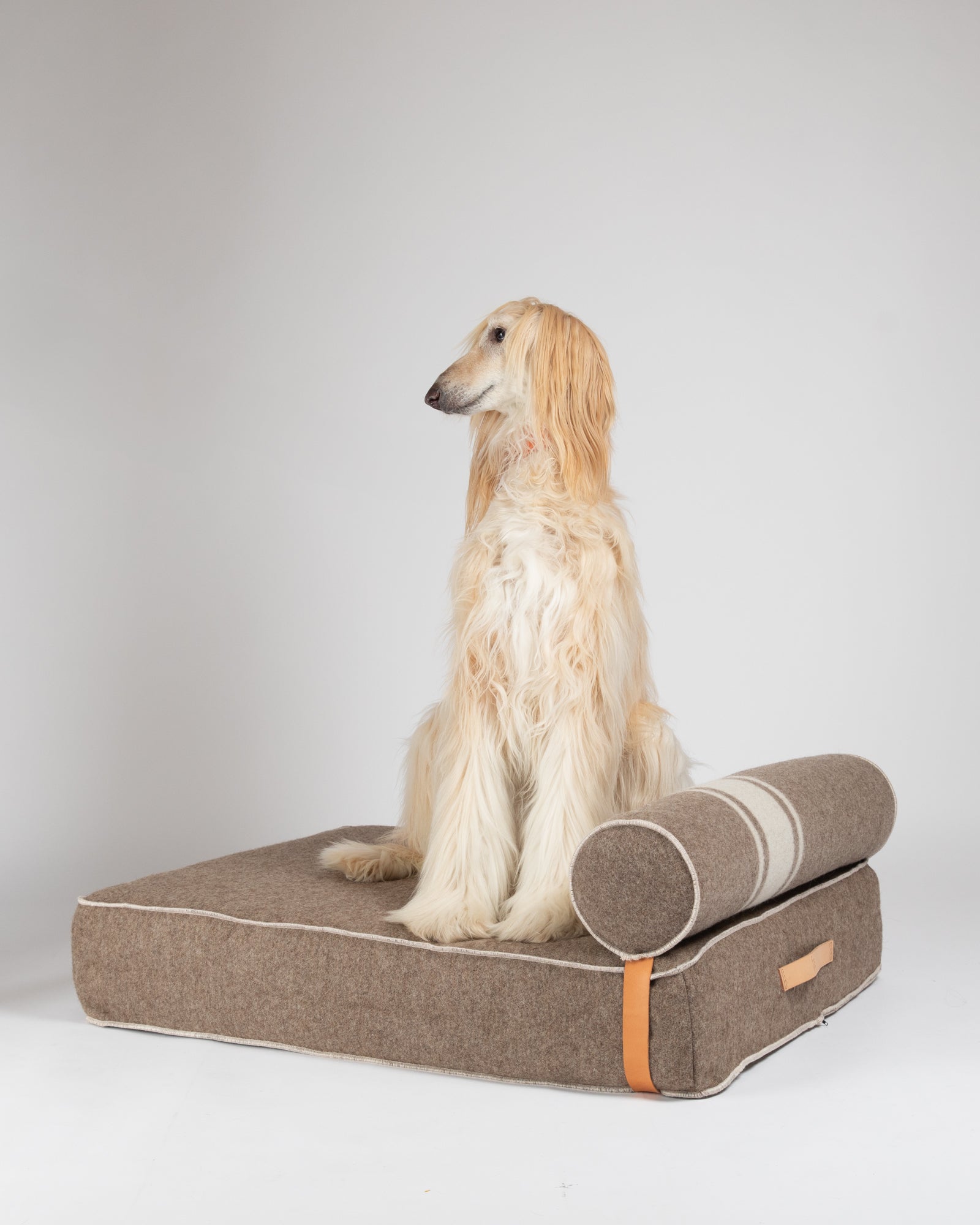 Giampaolo – Day Bed for Dogs in Recycled Wool