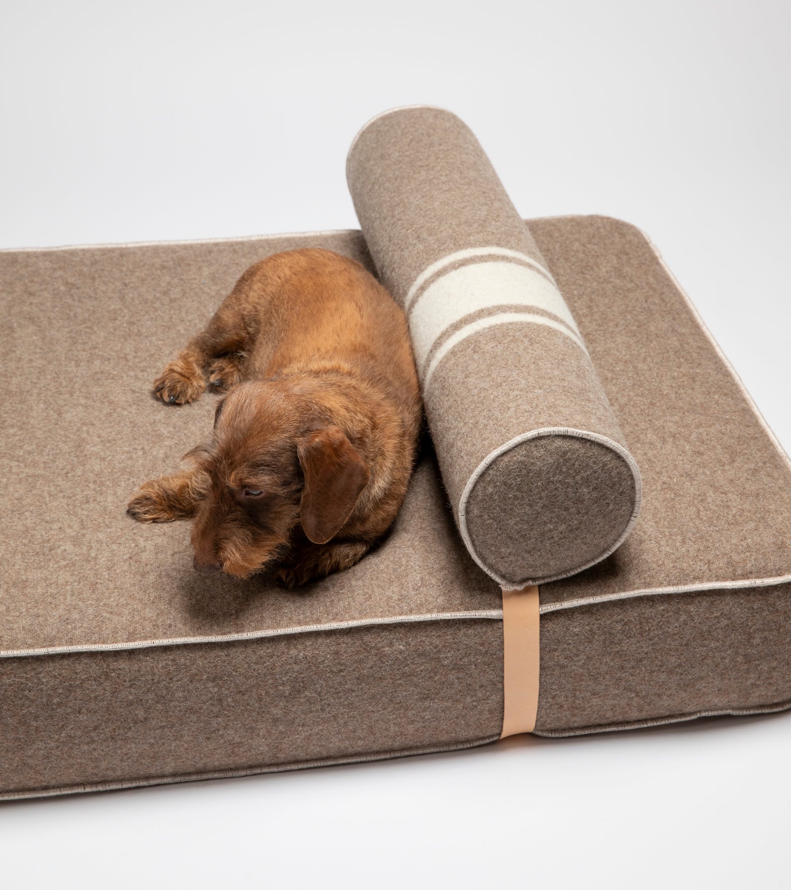 Giampaolo – Lit de jour pour chiens en laine recyclée