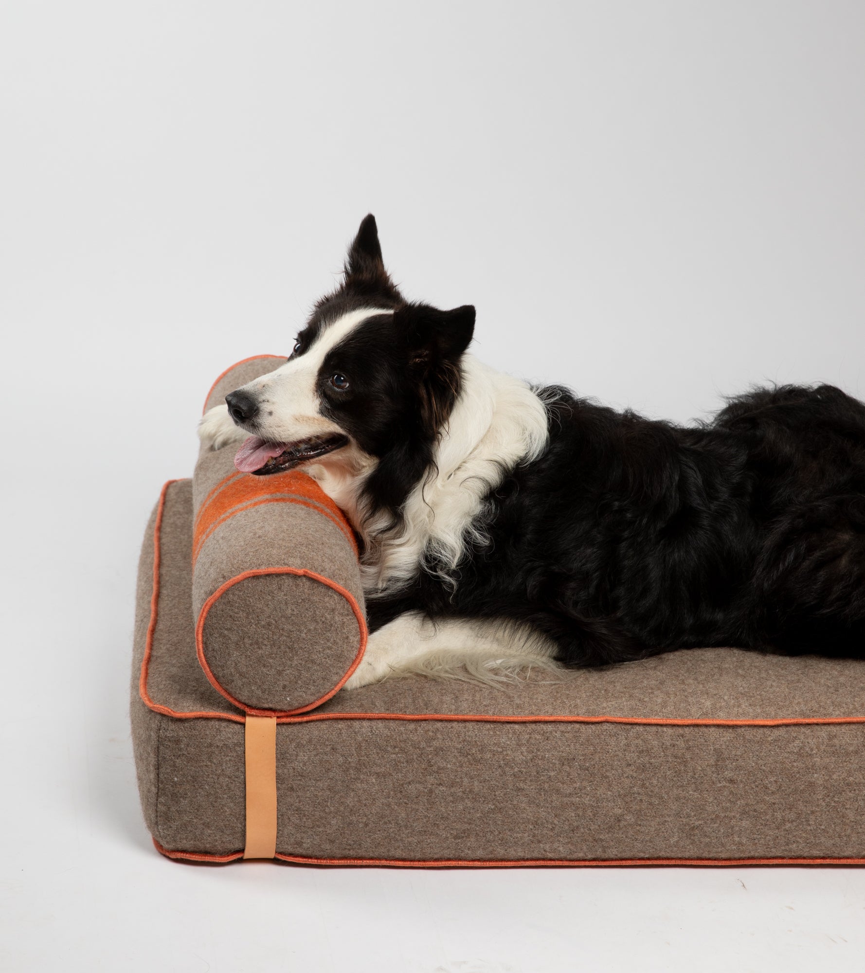 Giampaolo – Lit de jour pour chiens en laine recyclée