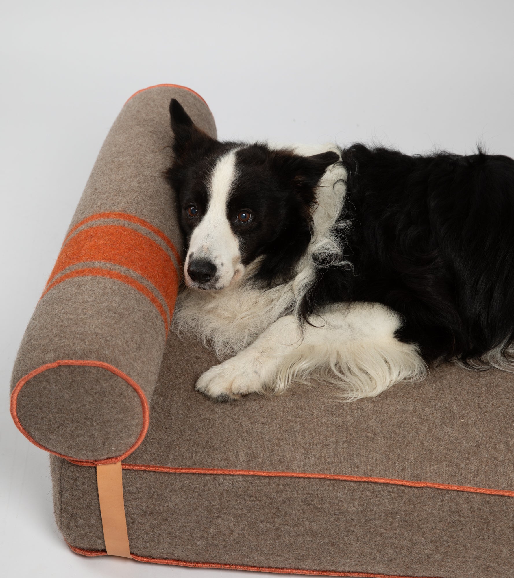 Giampaolo – Lit de jour pour chiens en laine recyclée