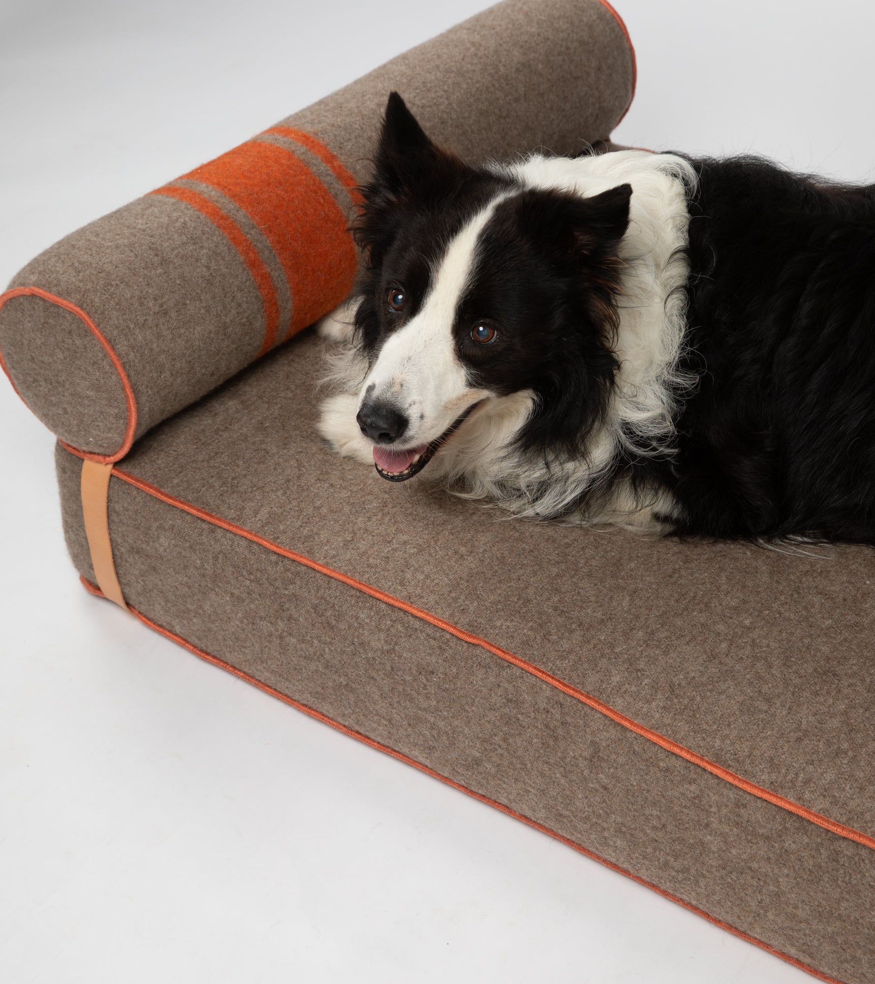 Giampaolo – Day Bed for Dogs in Recycled Wool